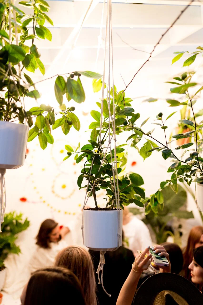  Wild Altar X Kit and Ace Party 2016  