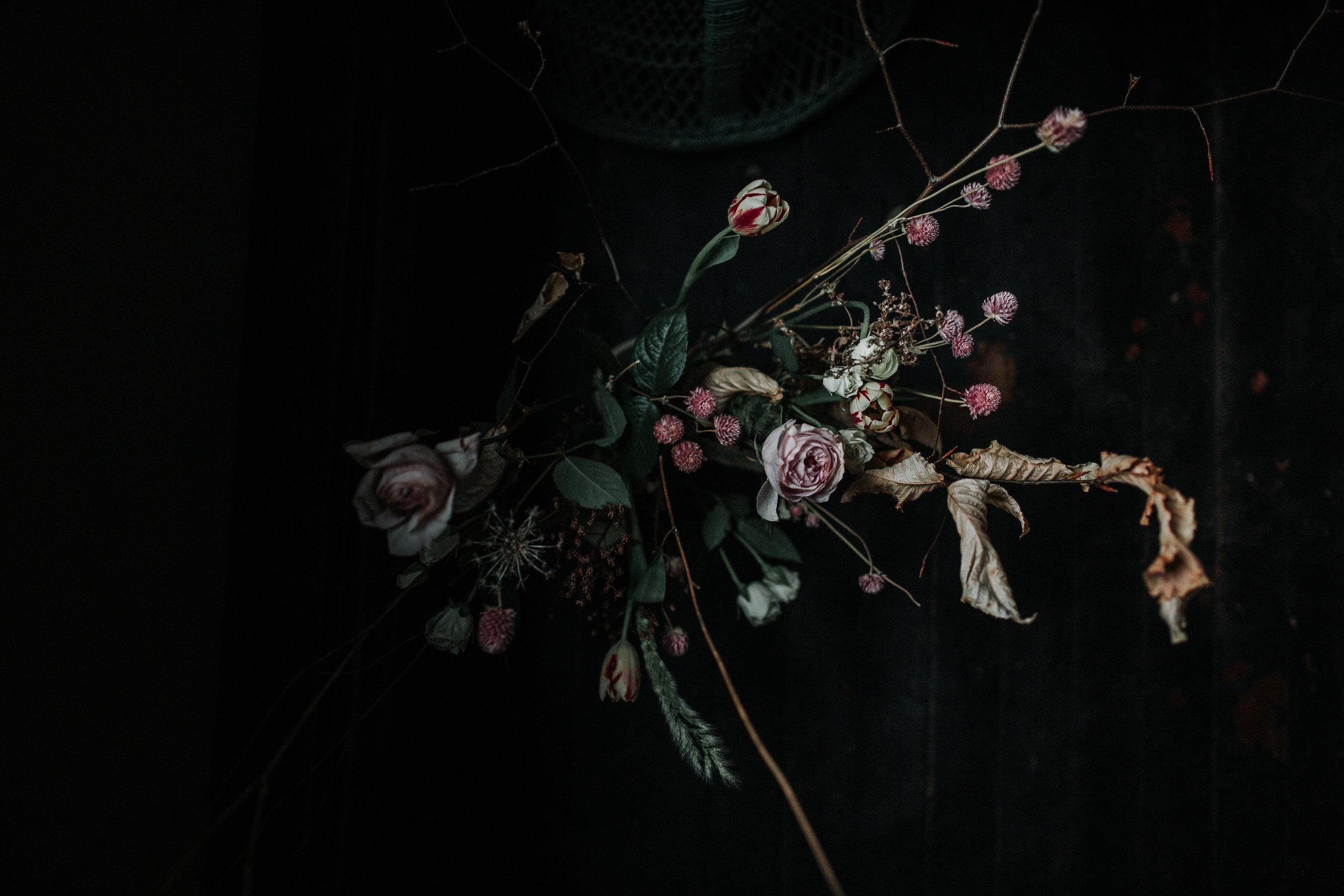 Juliana Bird Photography