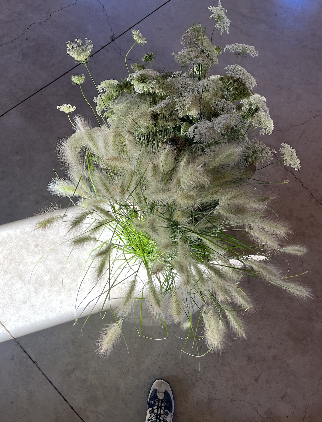 Screen Shot 2025-07-24 at 10.23.37 AM.png