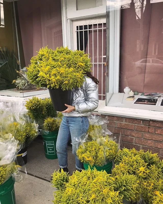 Buckets and armfuls of Solidago at Solidago. @Facebook, we&rsquo;re coming for ya! #prep