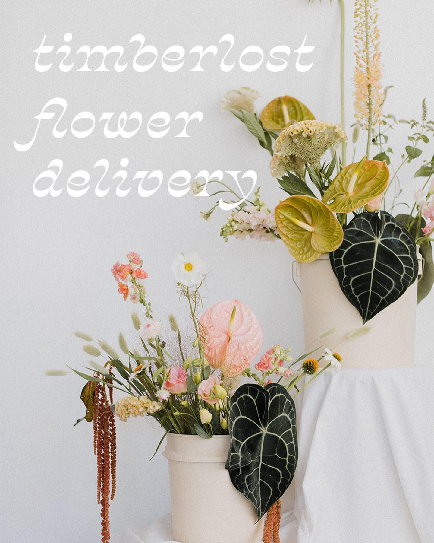 TIMBERLOST FLOWER DELIVERIES  NOW OPEN! 

Hey folks! It&rsquo;s a big day! Today we are launching our one of a kind curated flower bucket program ~ 

Many people have asked: &ldquo;Lauren, where do you get your flowers?&rdquo; Well, now we will deliv