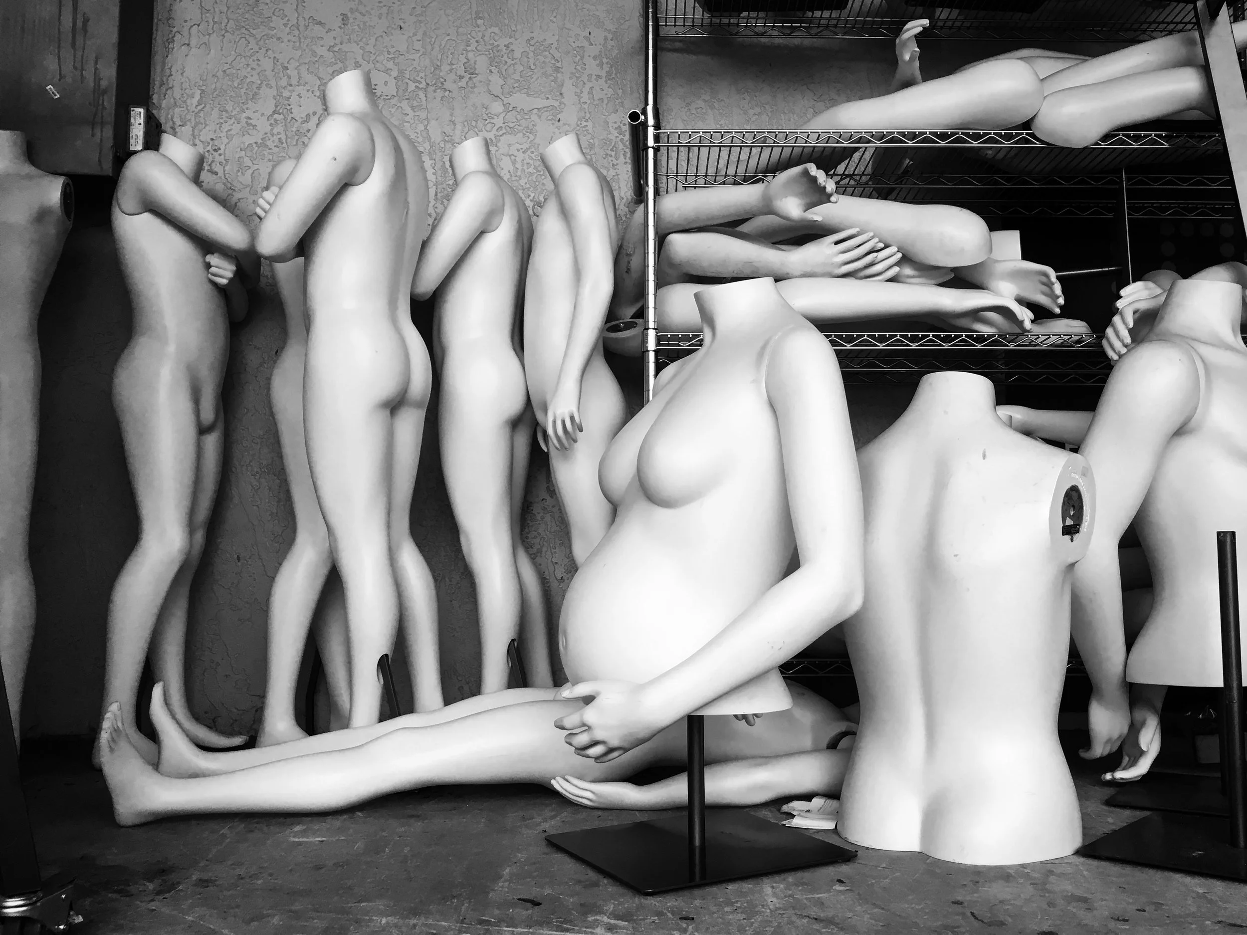 society.
