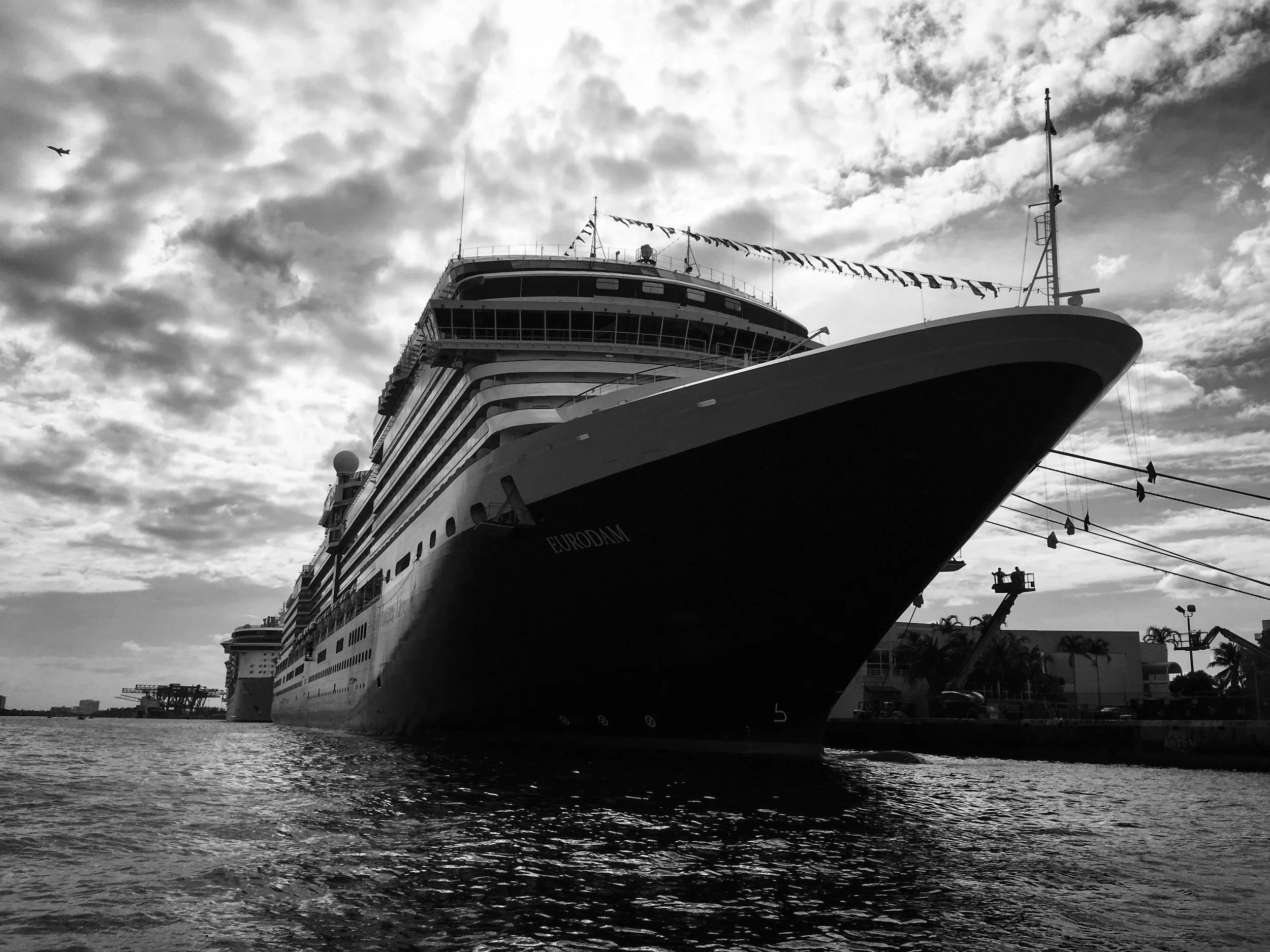 cruise. 