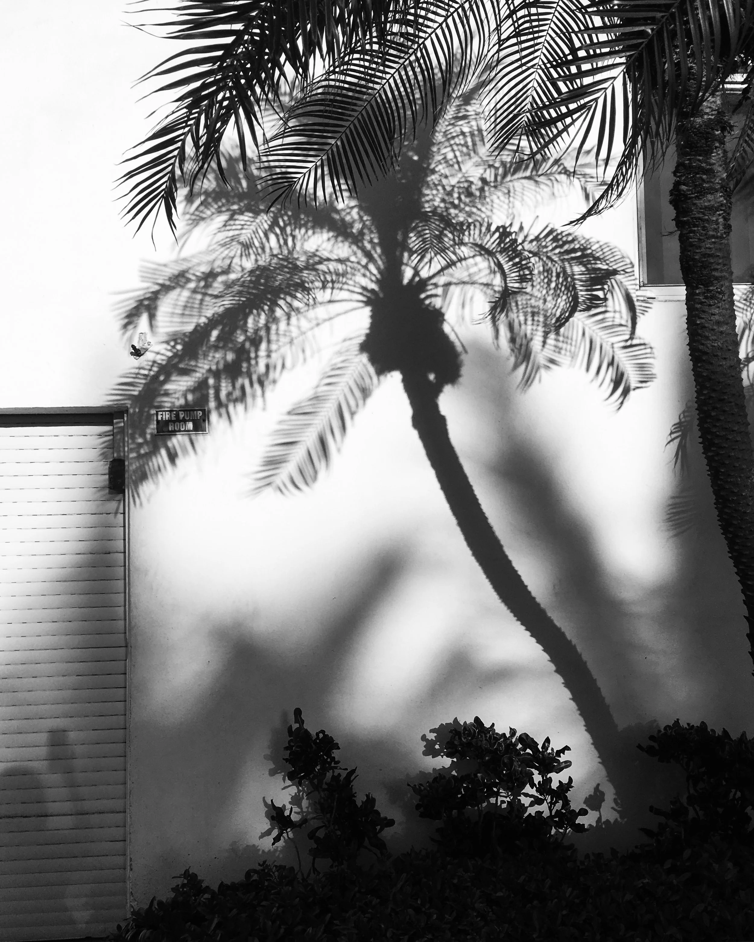 Miami Beach.