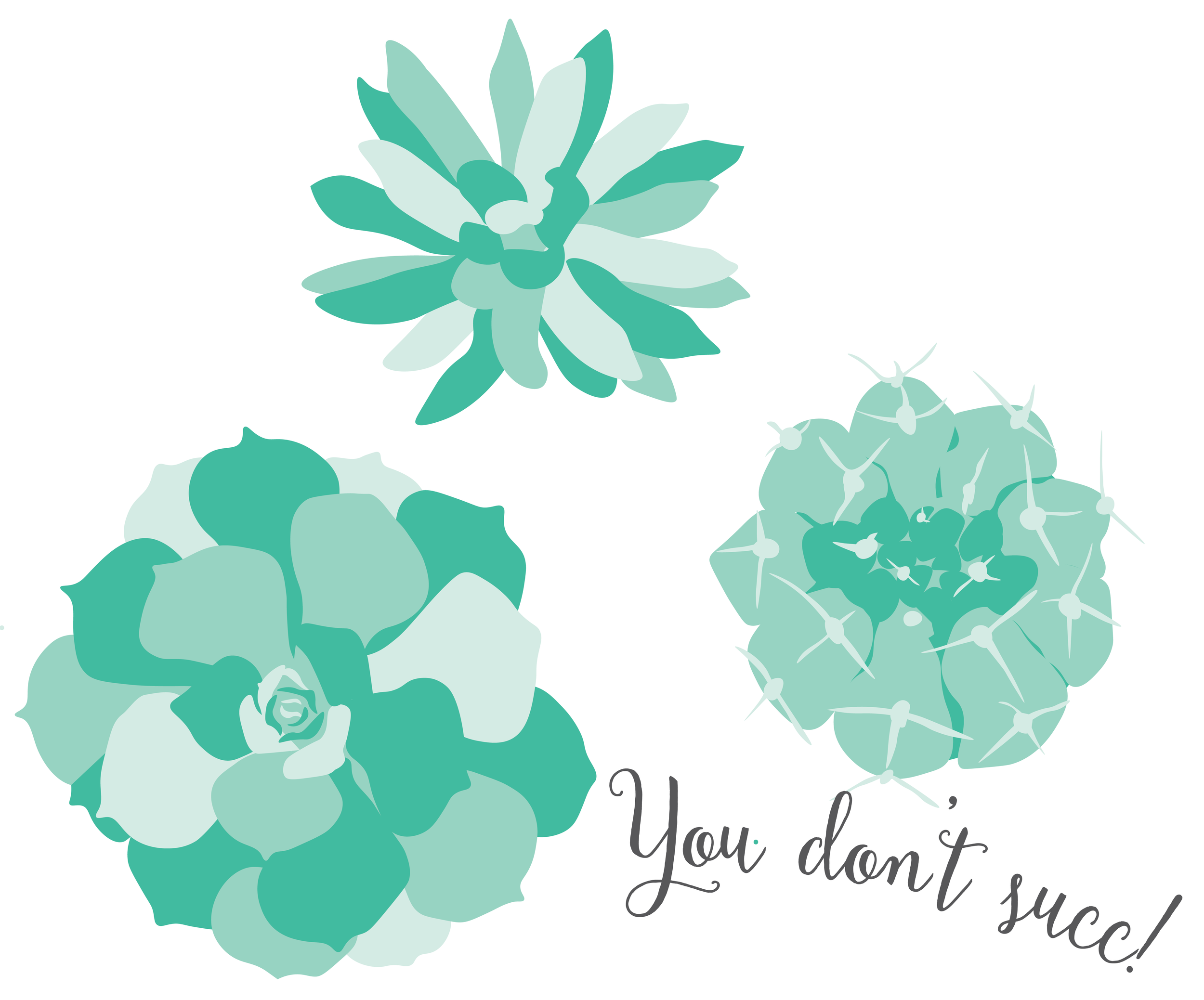 Succulents-01.png
