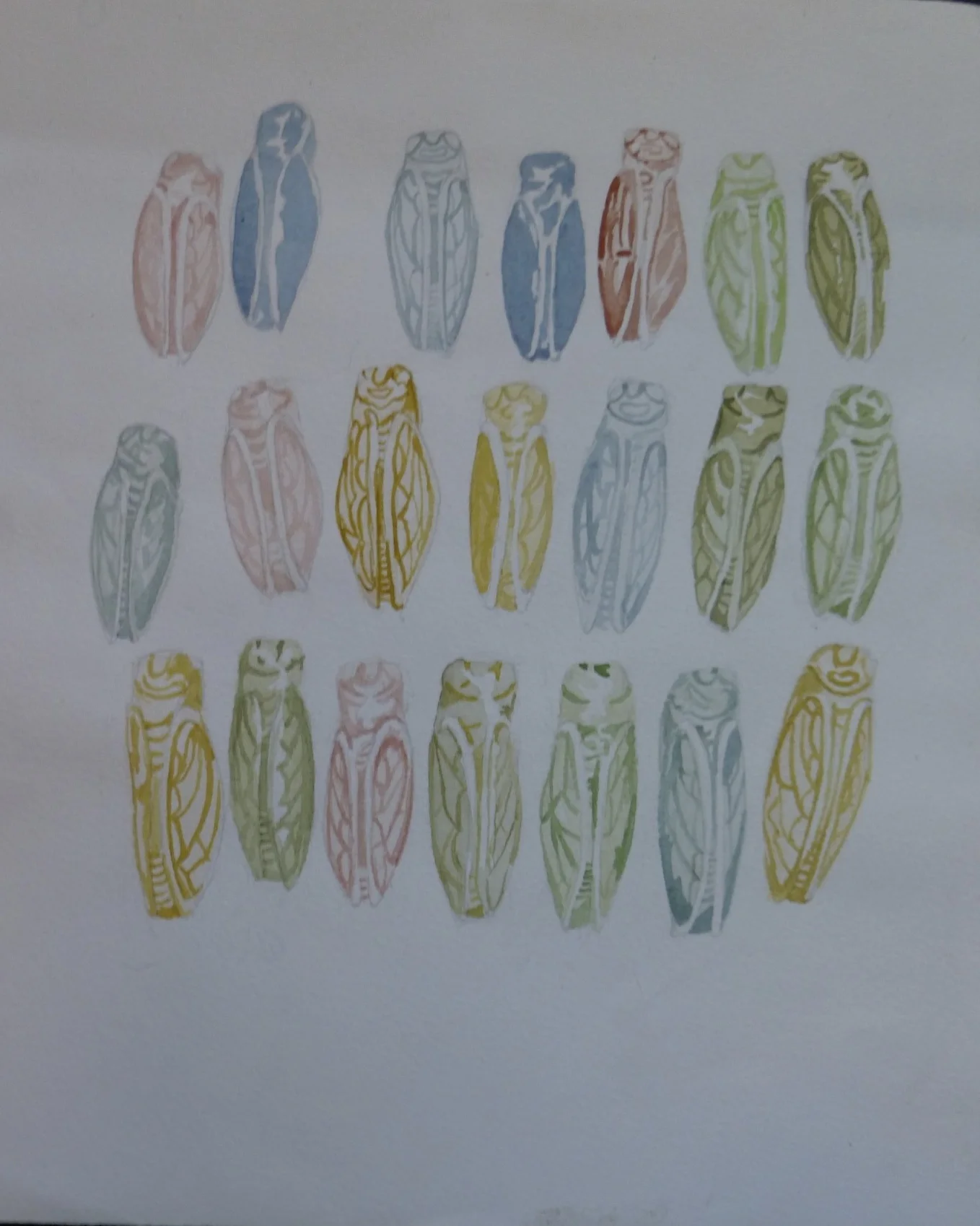 Cicada Magnets at the Market