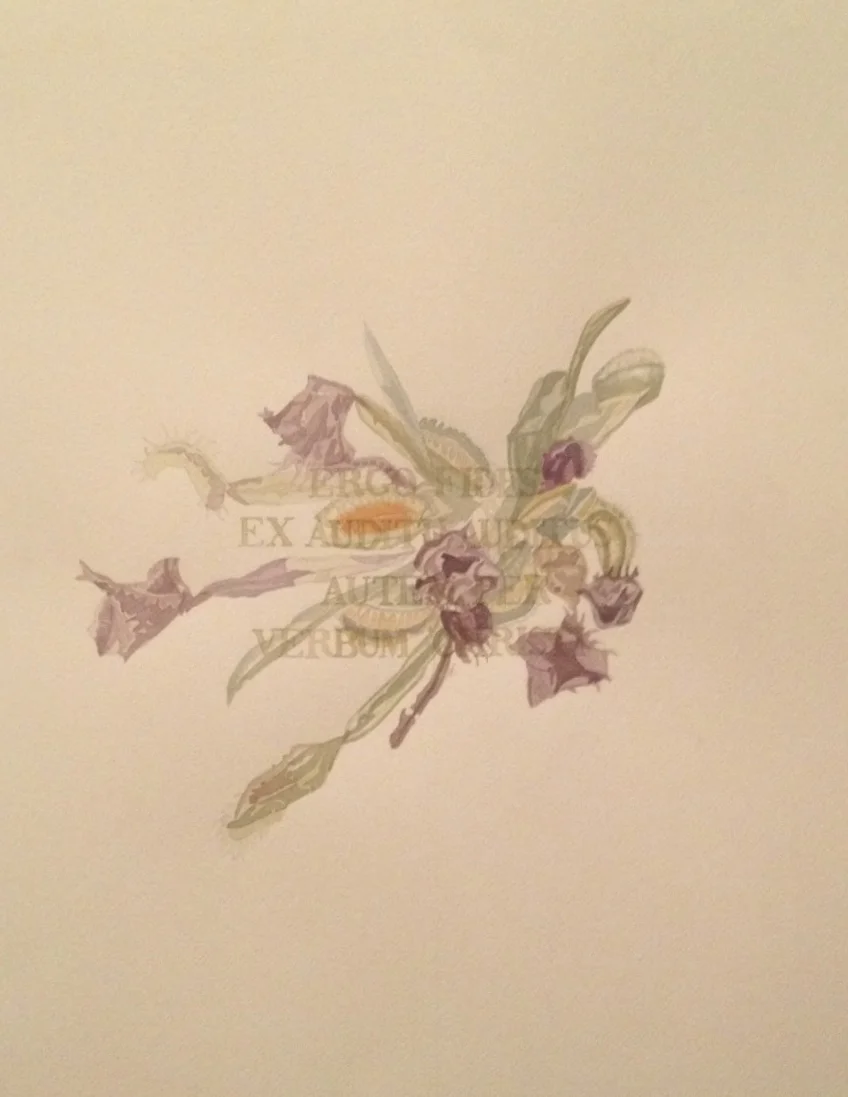 A Dull Pencil Makes For a Dull Mind, G4 II (Detail)