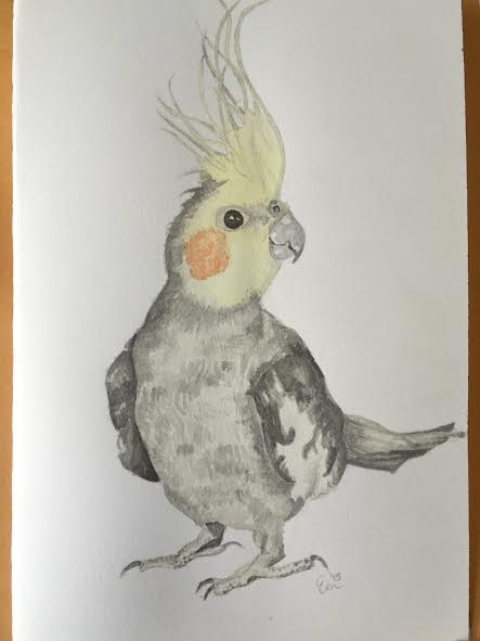 This is actually a mother's day card for my mom last year but I thought it sort of fit the bill for this post! 