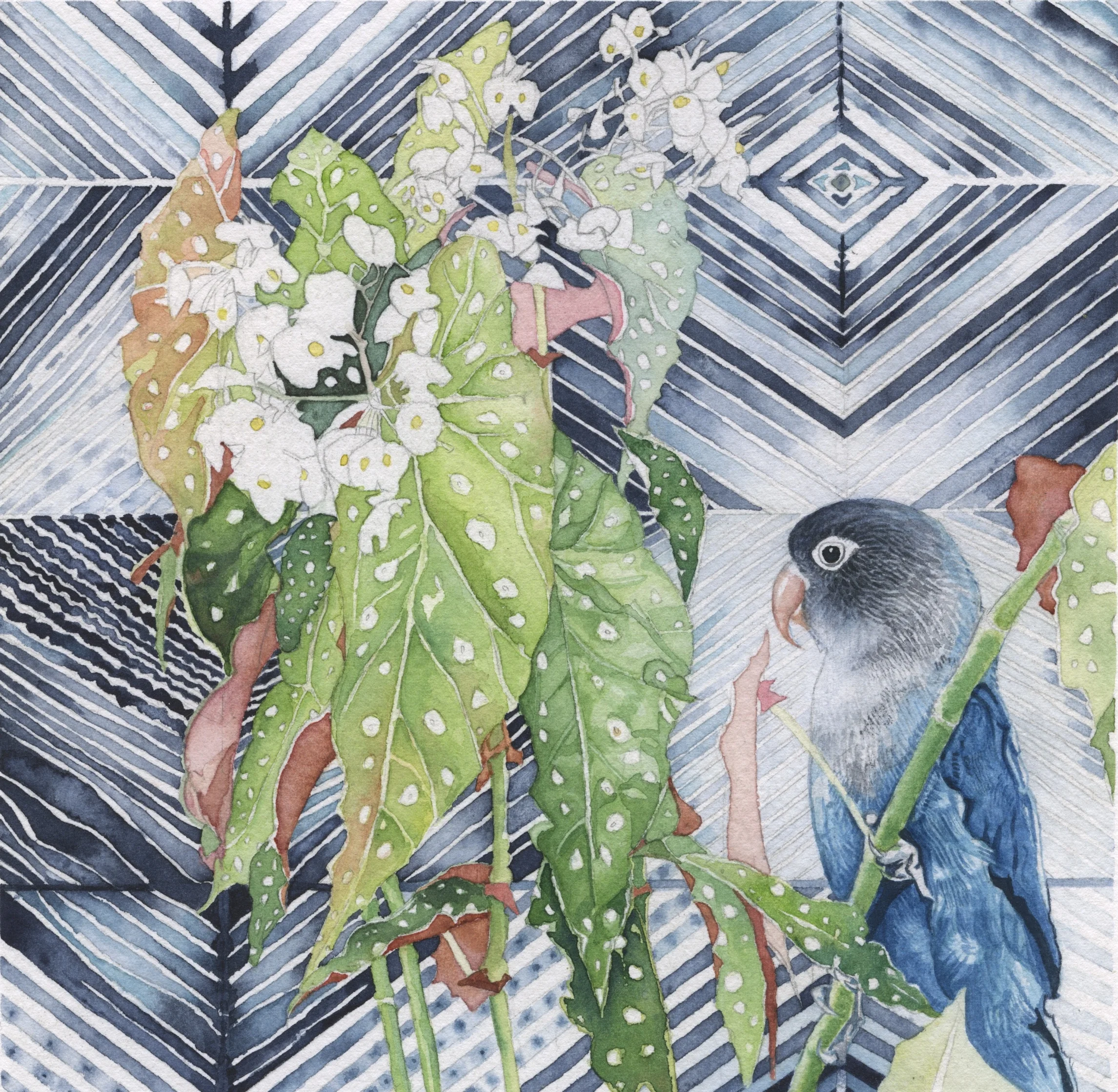 Lovebird with Begonia