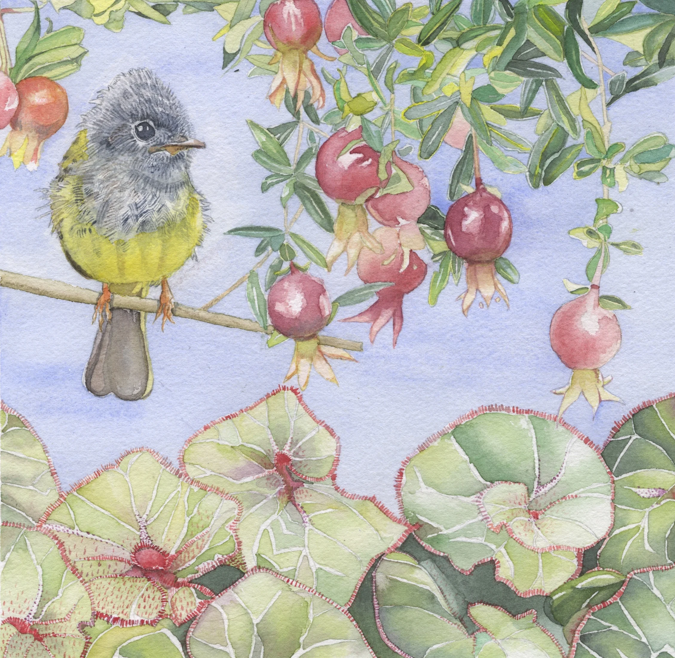 Canary-Flycatcher with Pomegranates 
