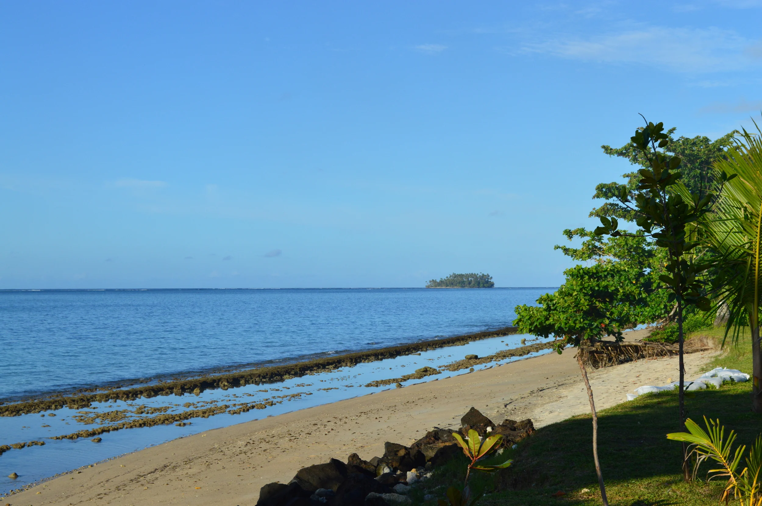 DSC_0667.JPG