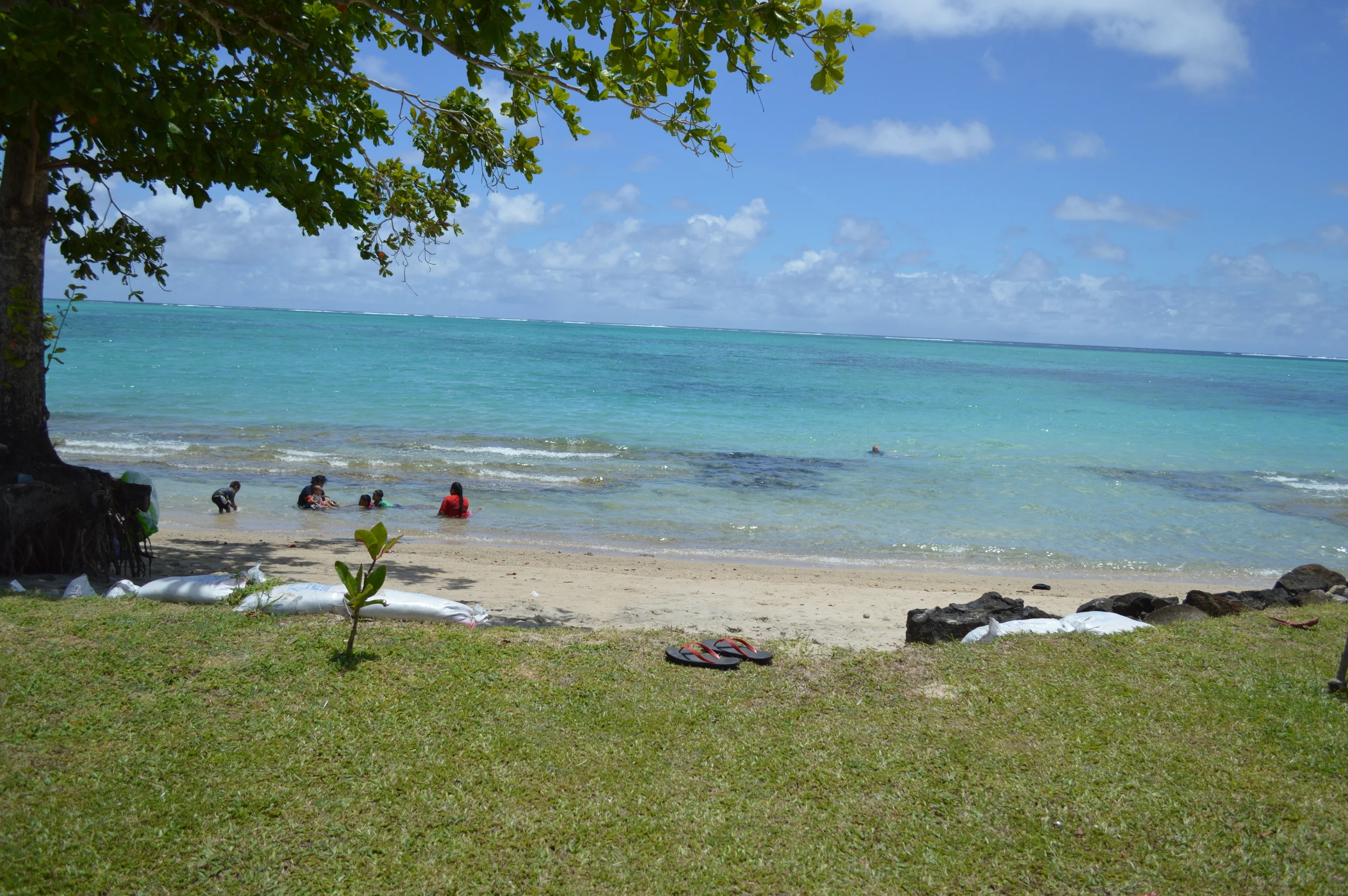 DSC_0783.JPG