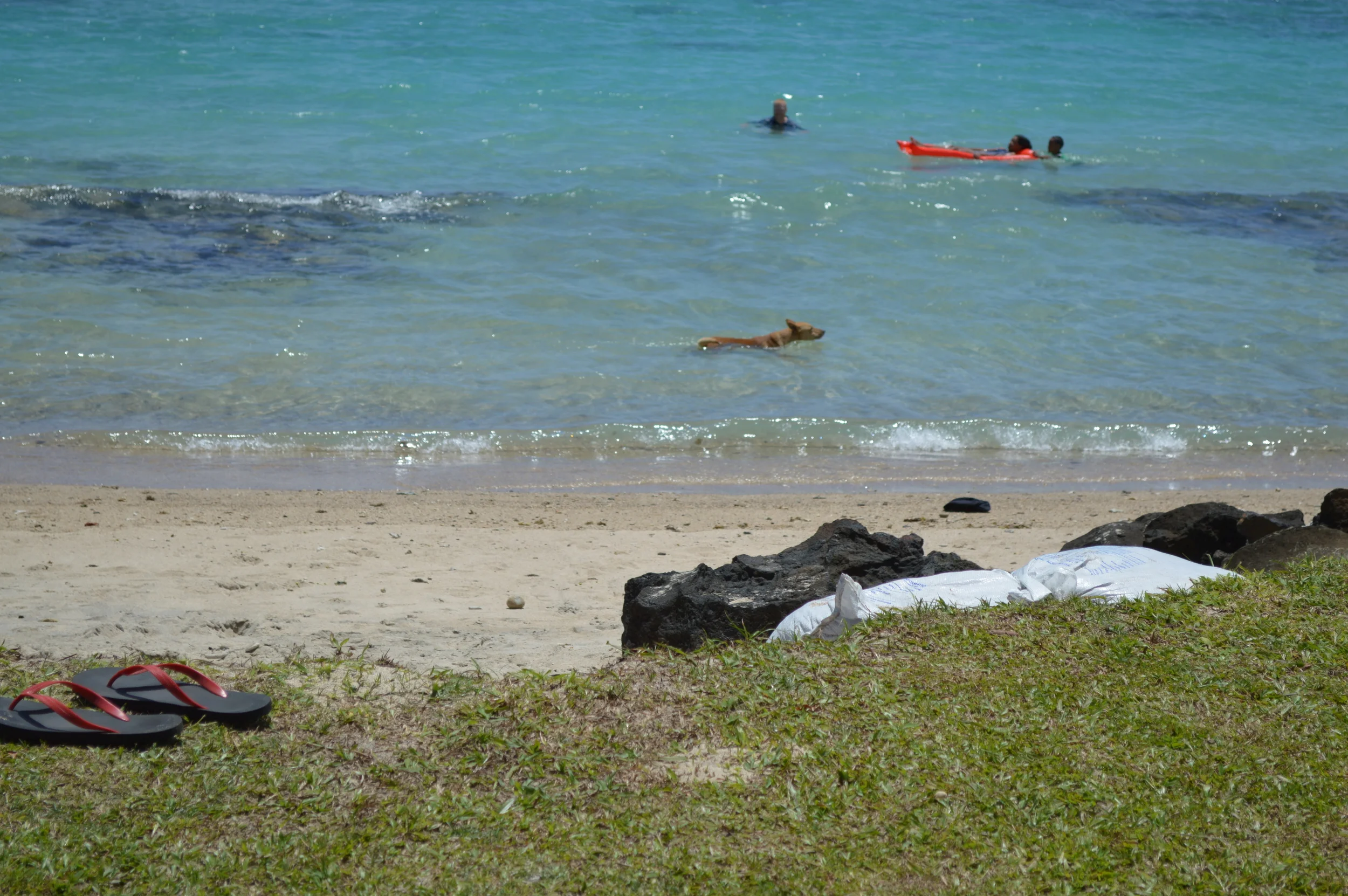 DSC_0788.JPG