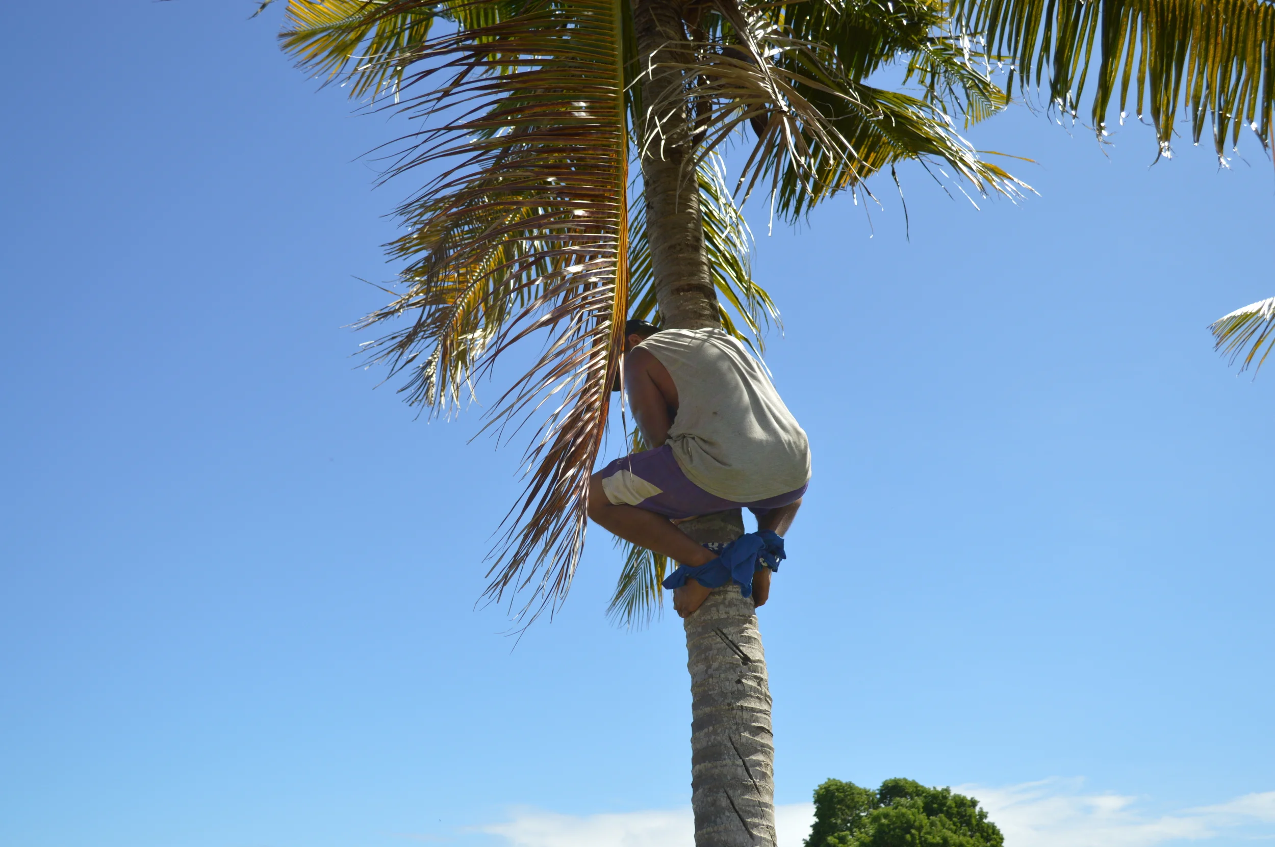 DSC_1252.JPG
