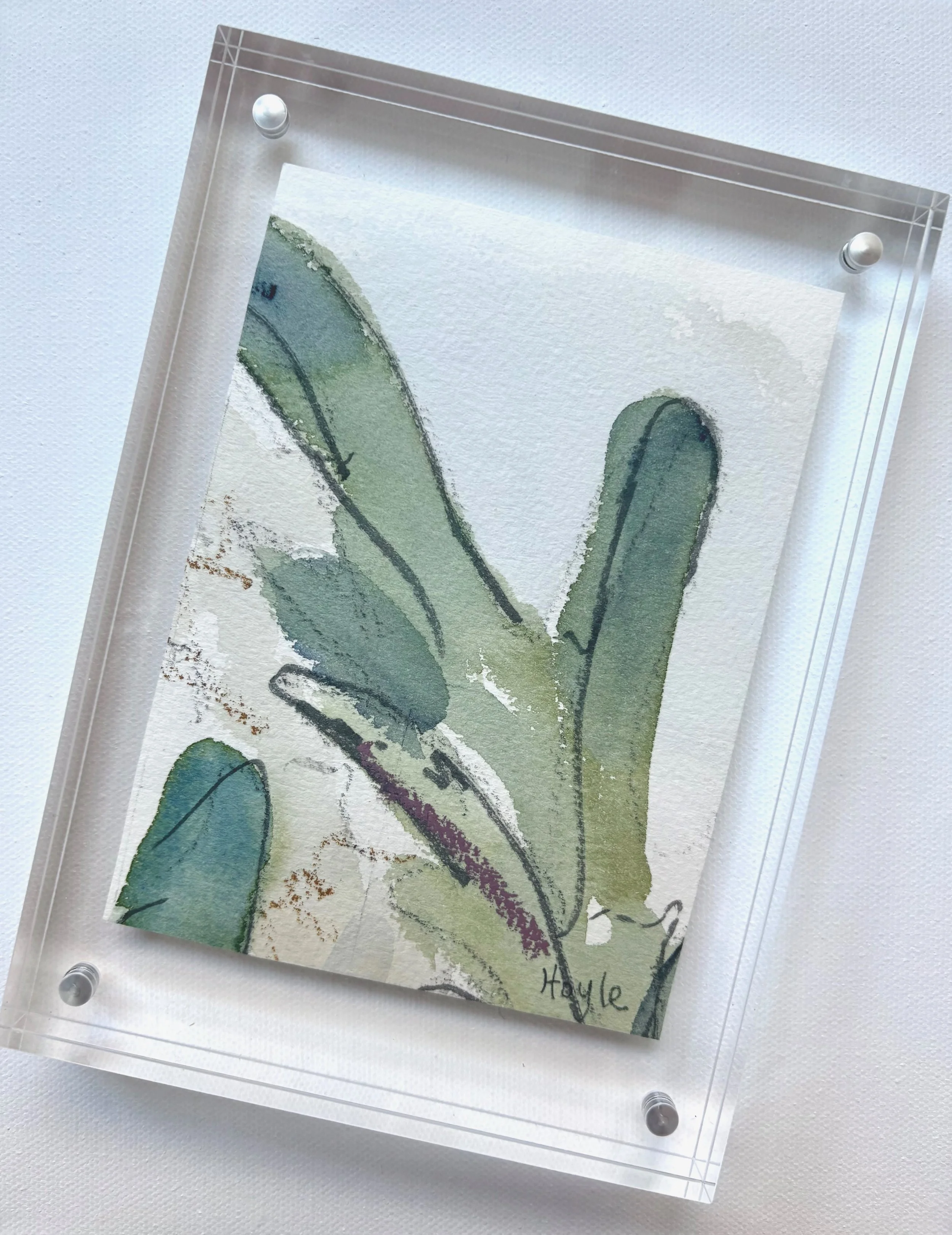 FullSizeRender (1).jpeg