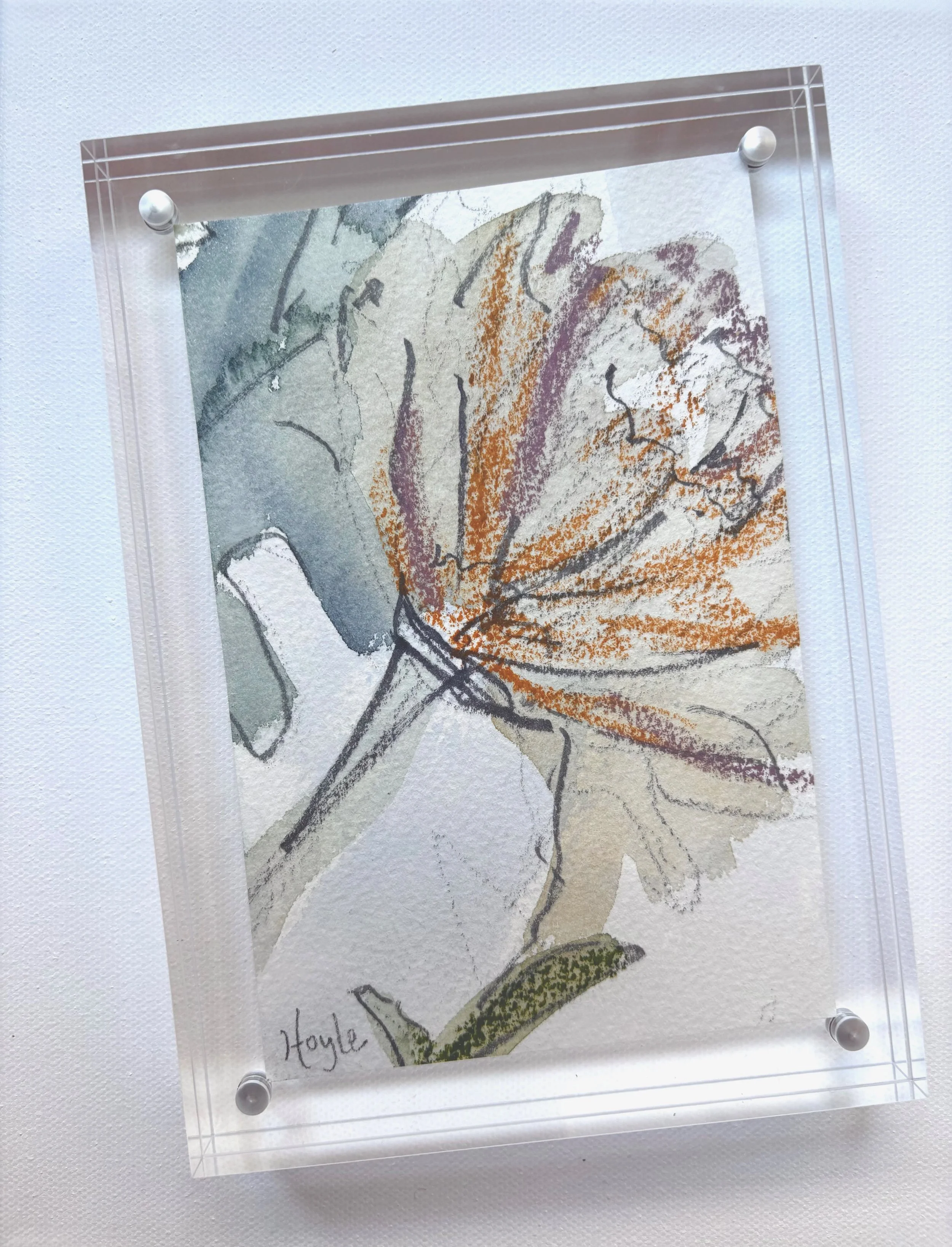 FullSizeRender (6).jpeg