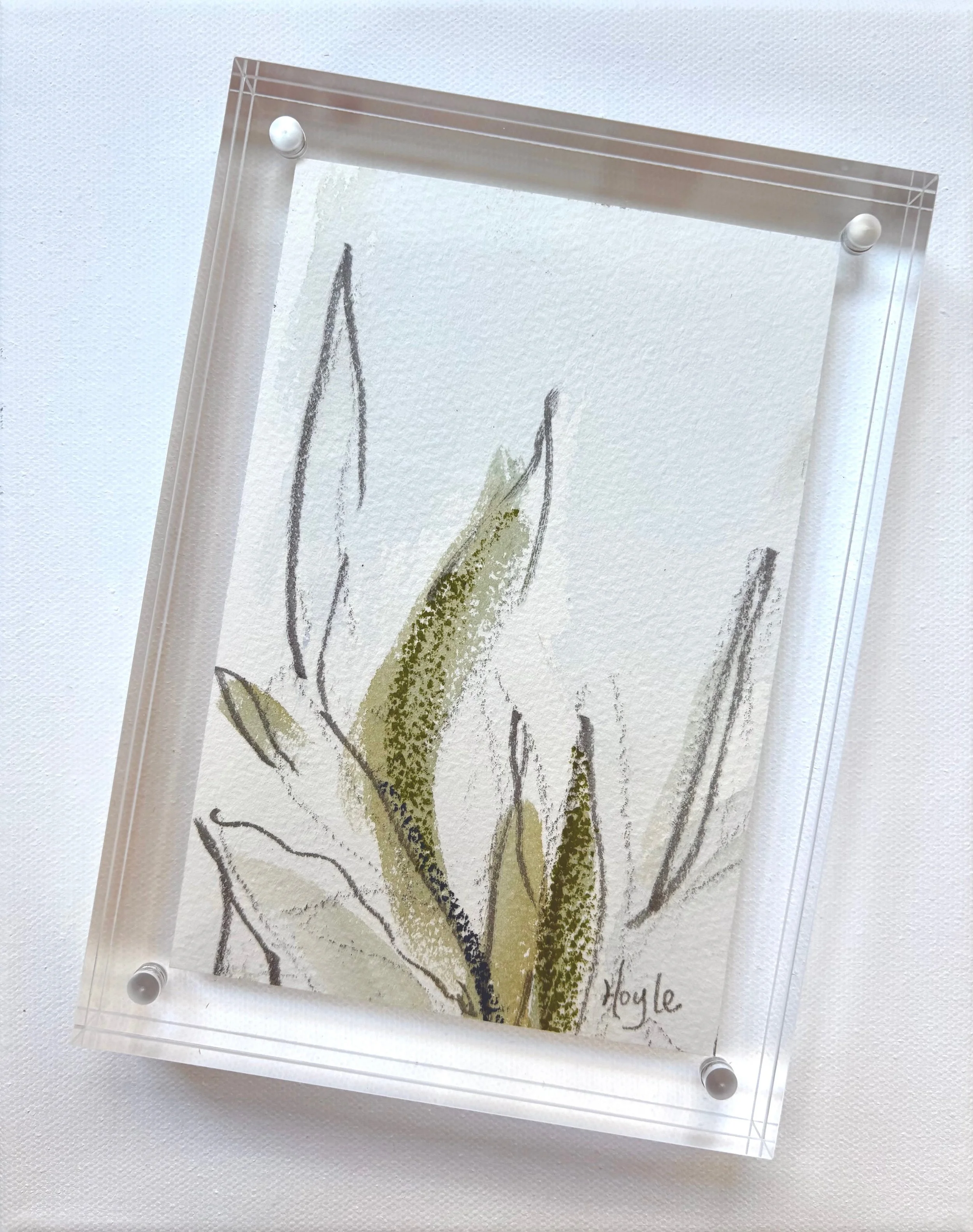 FullSizeRender (3).jpeg