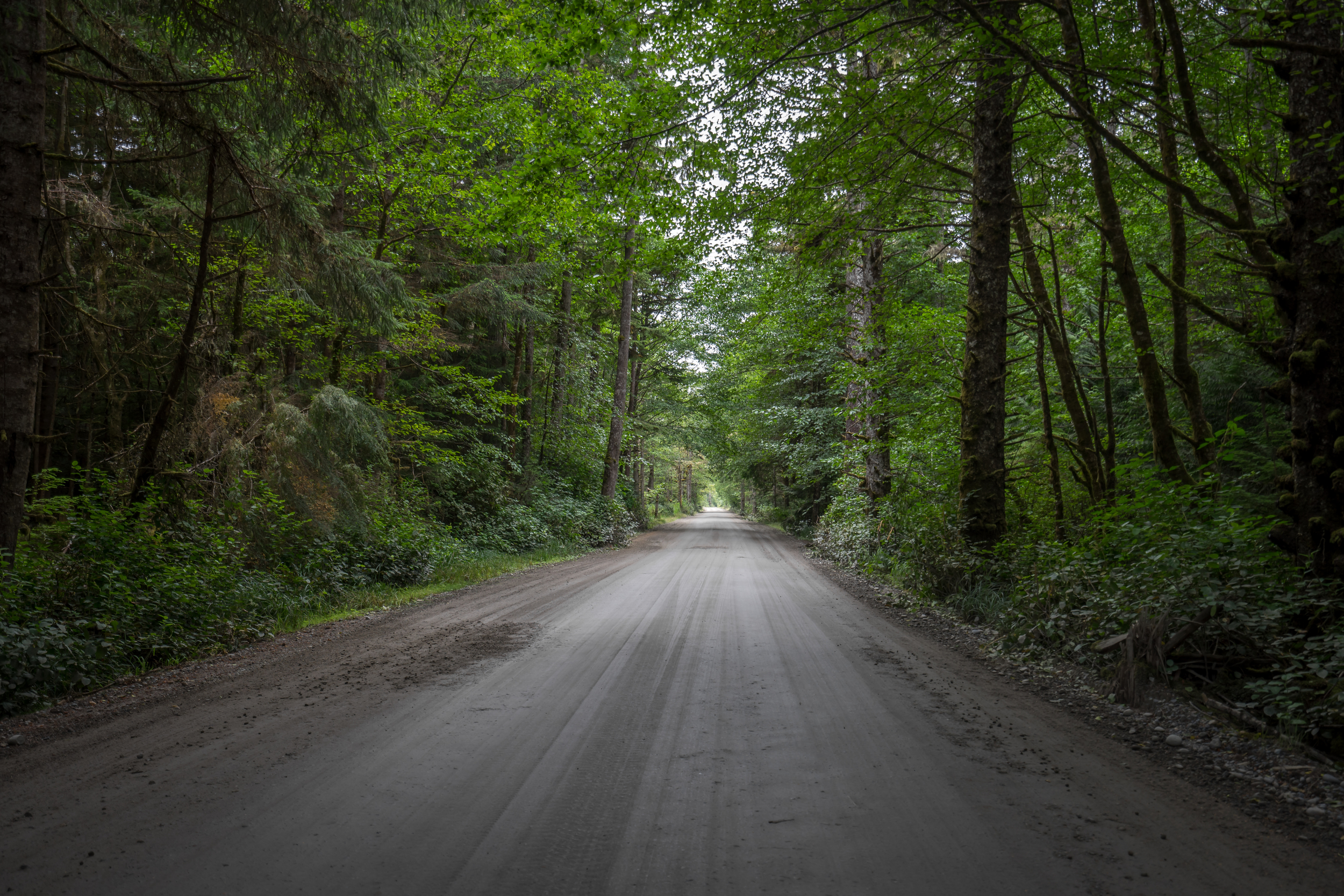  Continuing on down the road through Naikoon Provincial park to find the last house on Tow Hill Rd where a series of 4 off the grid dwellings are located. 