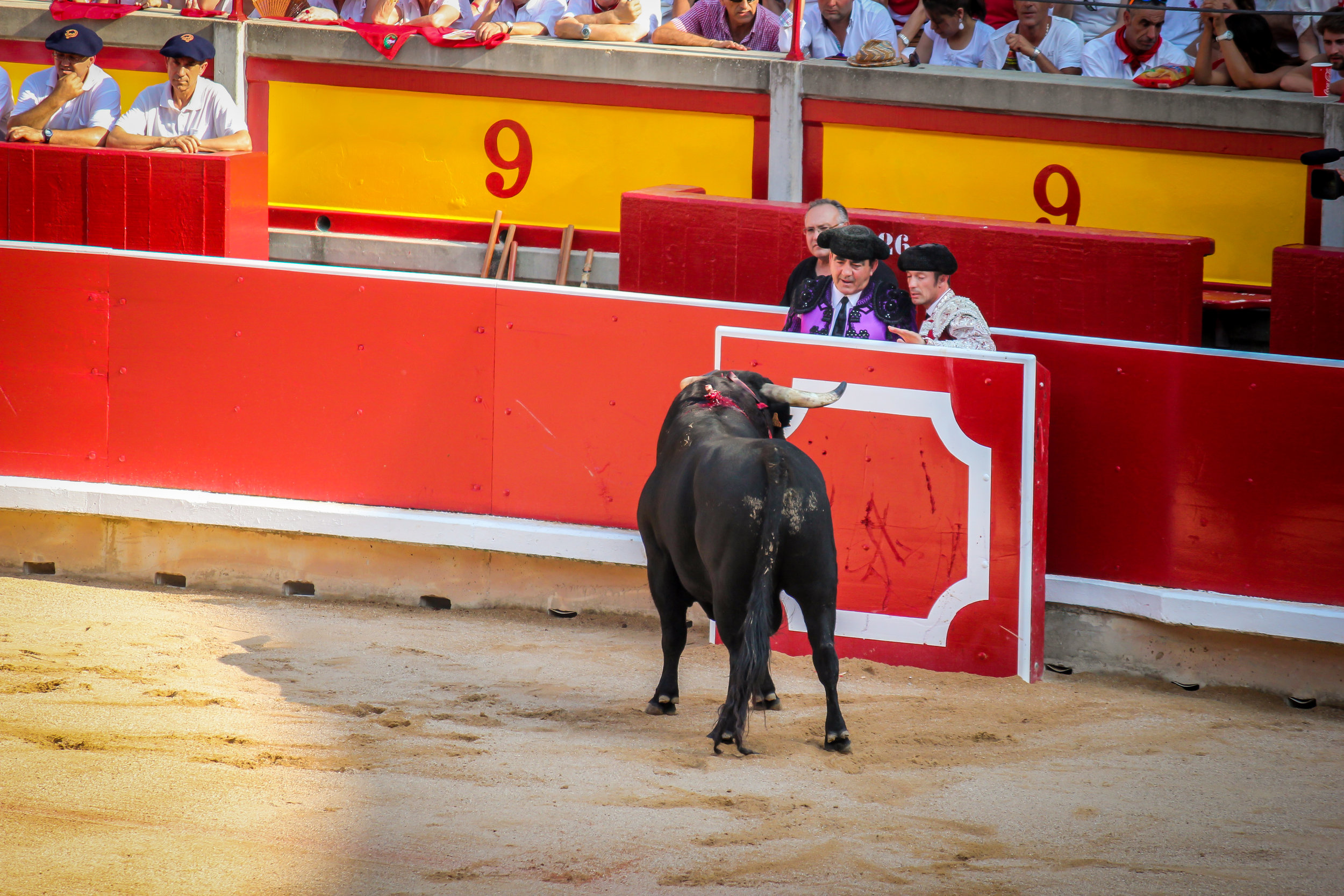 At the beginning the bull is full of energy and the fight would be a sure suicide. Therefore the helpers attract the bull to opposite sides of the ring to tire the bull before facing the matadores.