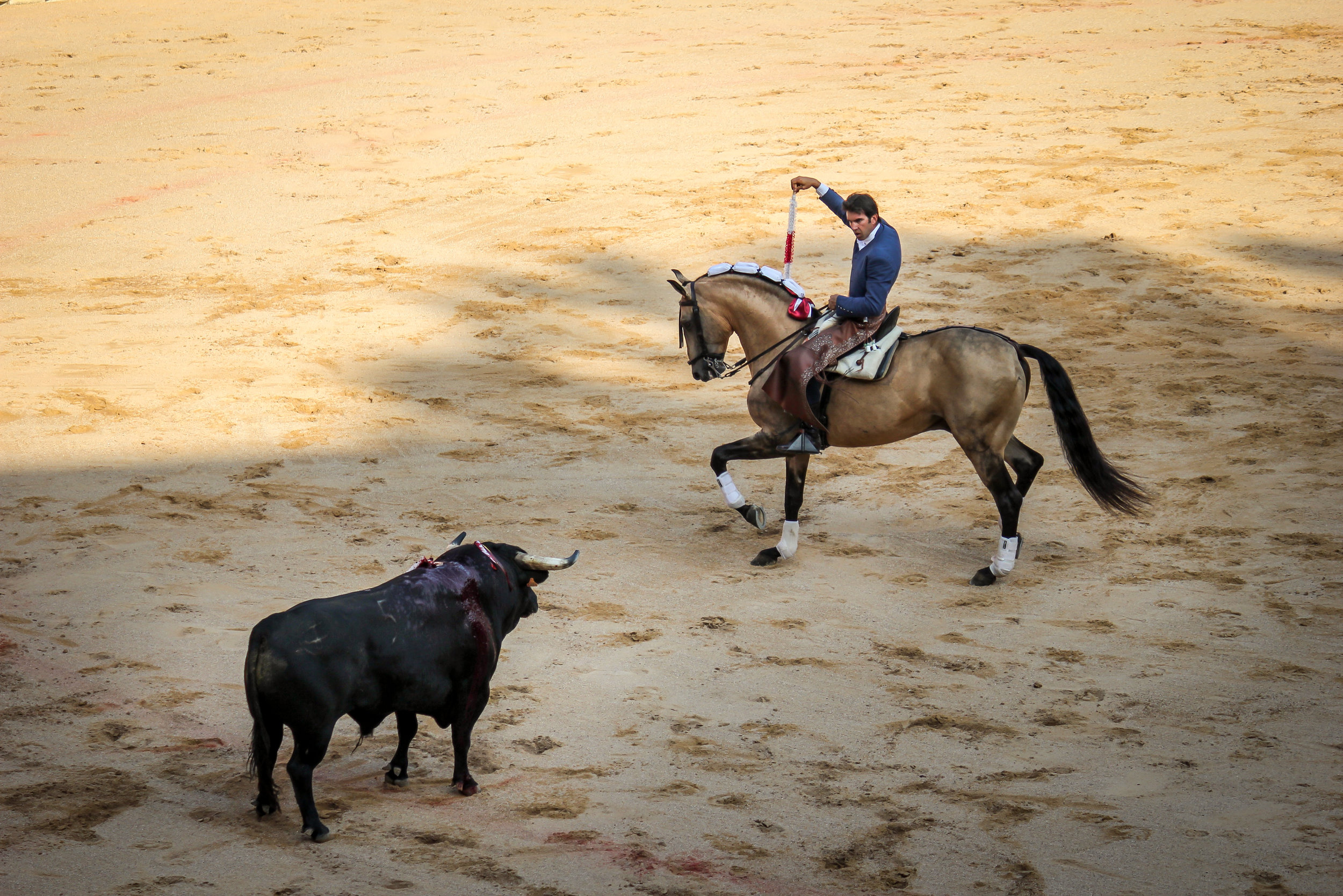 A matadores from horseback getting into position before inserting a banderas.