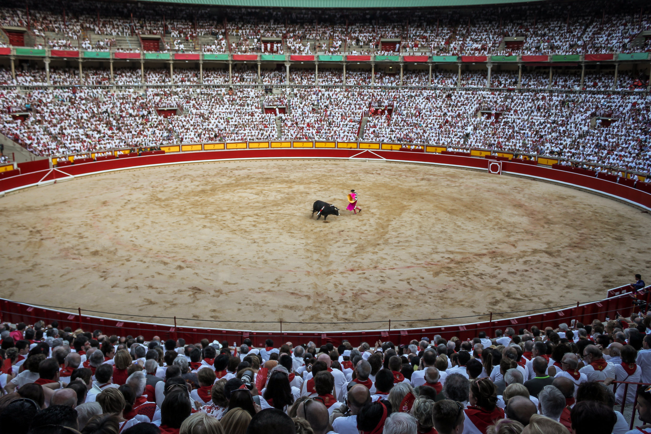 Mid fight, the only two in the ring are the bull and matadores.