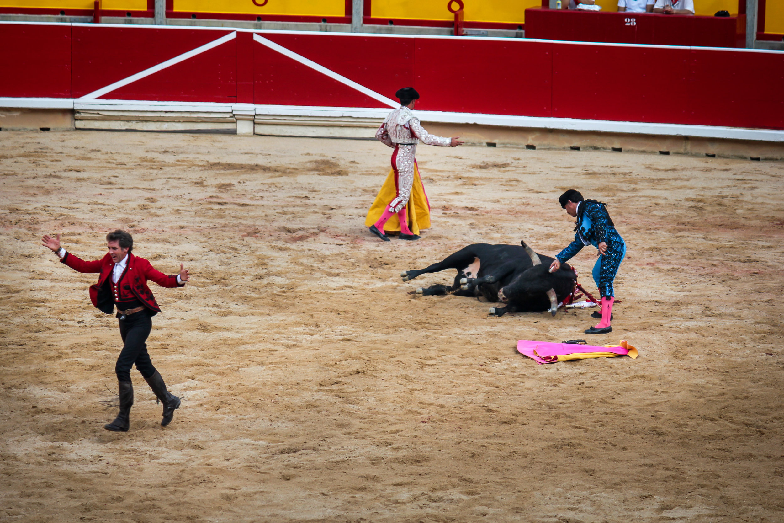A matador celebrates a clean kill with little suffering of the bull. These are rewarded by cheers in the crowd and a high score from the judges.