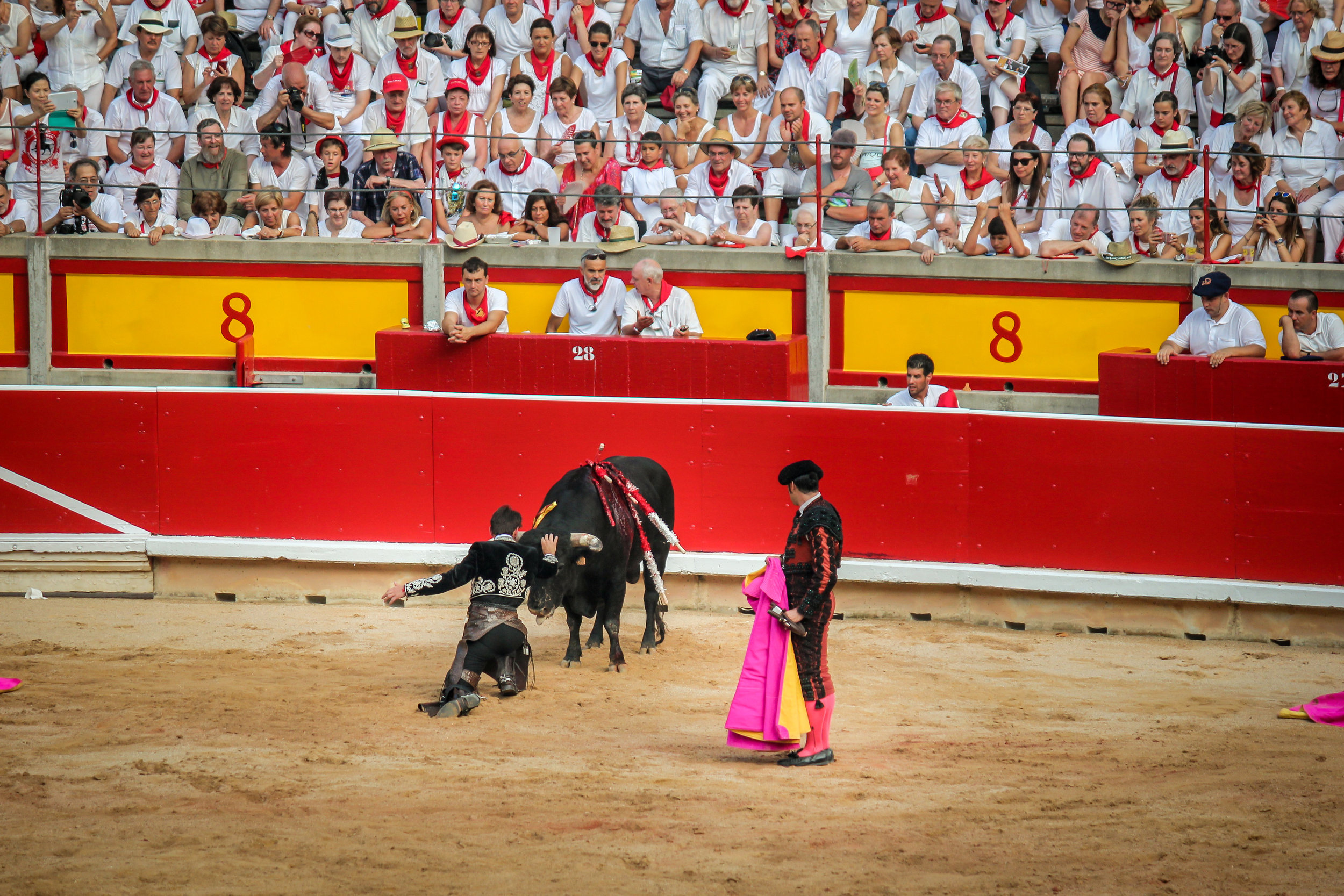 Near the end of the fight the bull grows very tired and the matadores can come close. Sudden explosions of energy are known to happen which can still be deadly to any human.