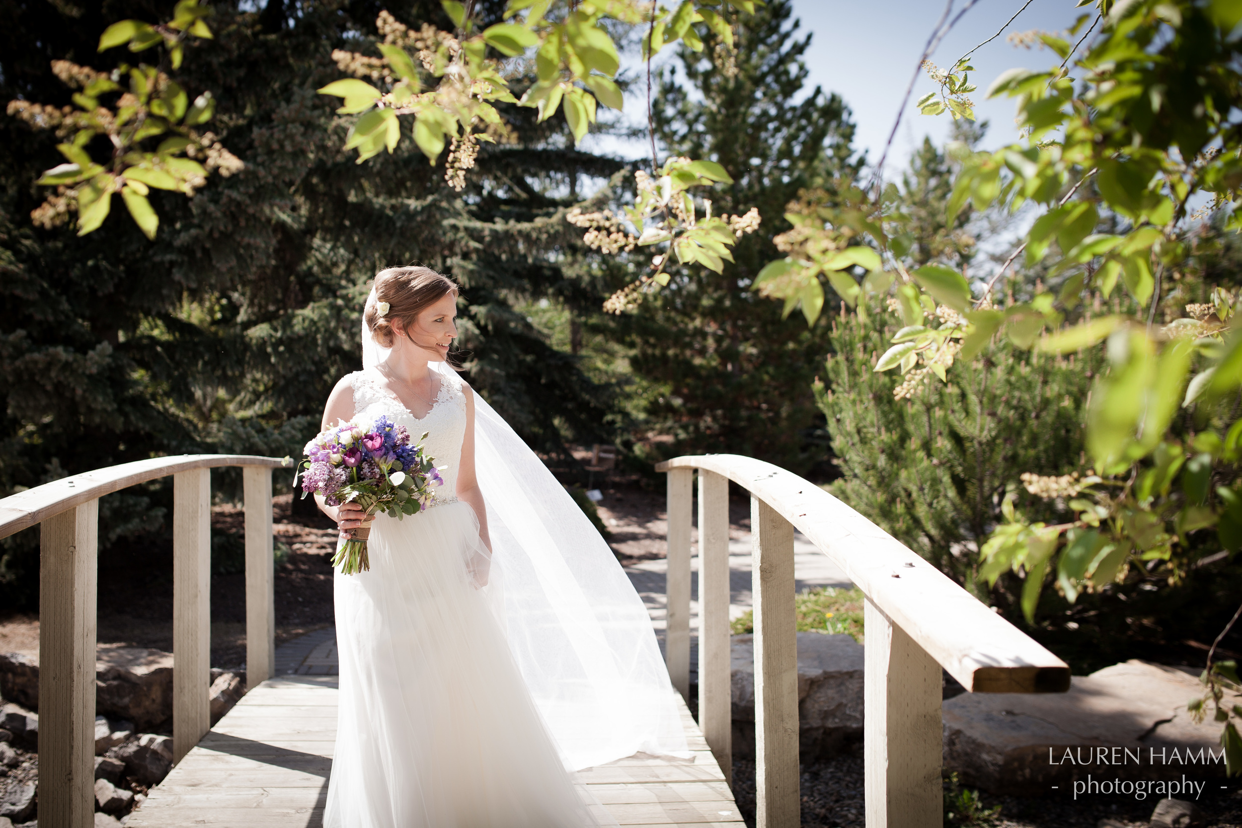 Nathan and Cassia | Wedding | Wedding Photographer | Calgary Weddings | Calgary Photographer | Alberta Photographer | YYC | Lauren Hamm Photography