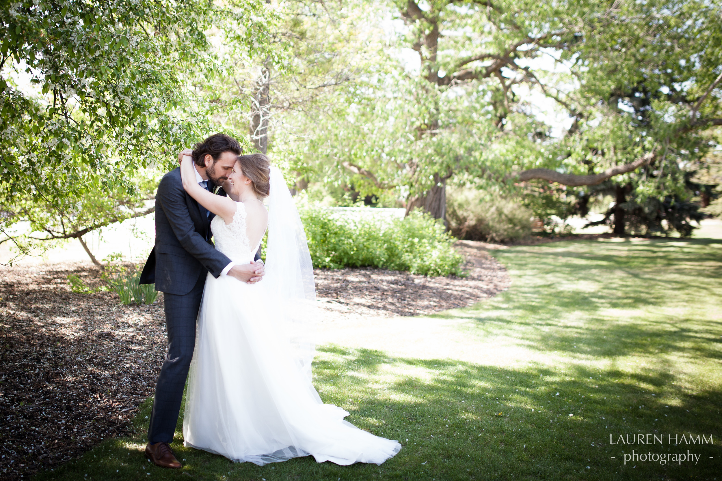 Nathan and Cassia | Wedding | Wedding Photographer | Calgary Weddings | Calgary Photographer | Alberta Photographer | YYC | Lauren Hamm Photography