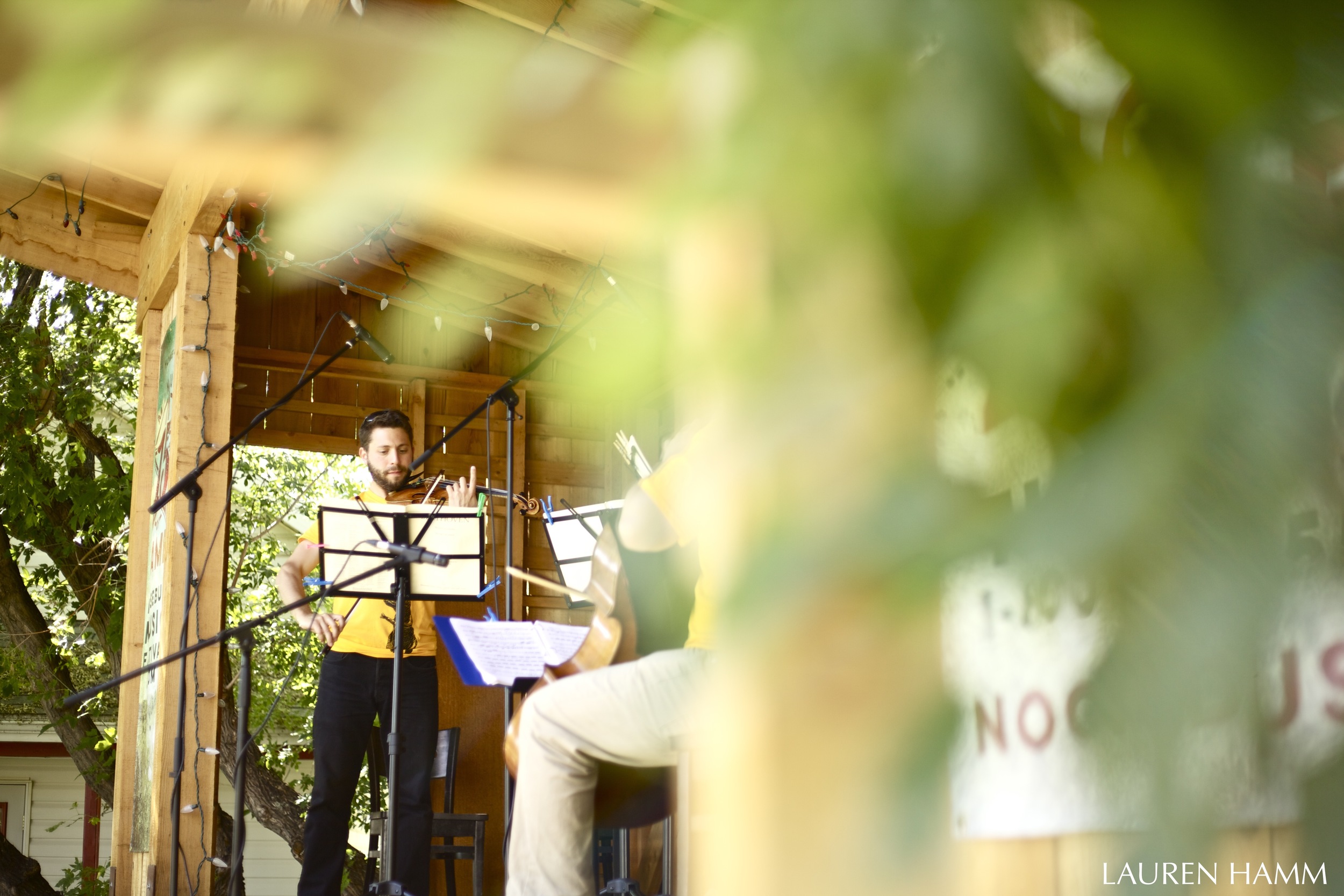 Rosebud Chamber Music Festival | Calgary Photographer | Event Photography | Alberta Photographer | YYC | Lauren Hamm Photography