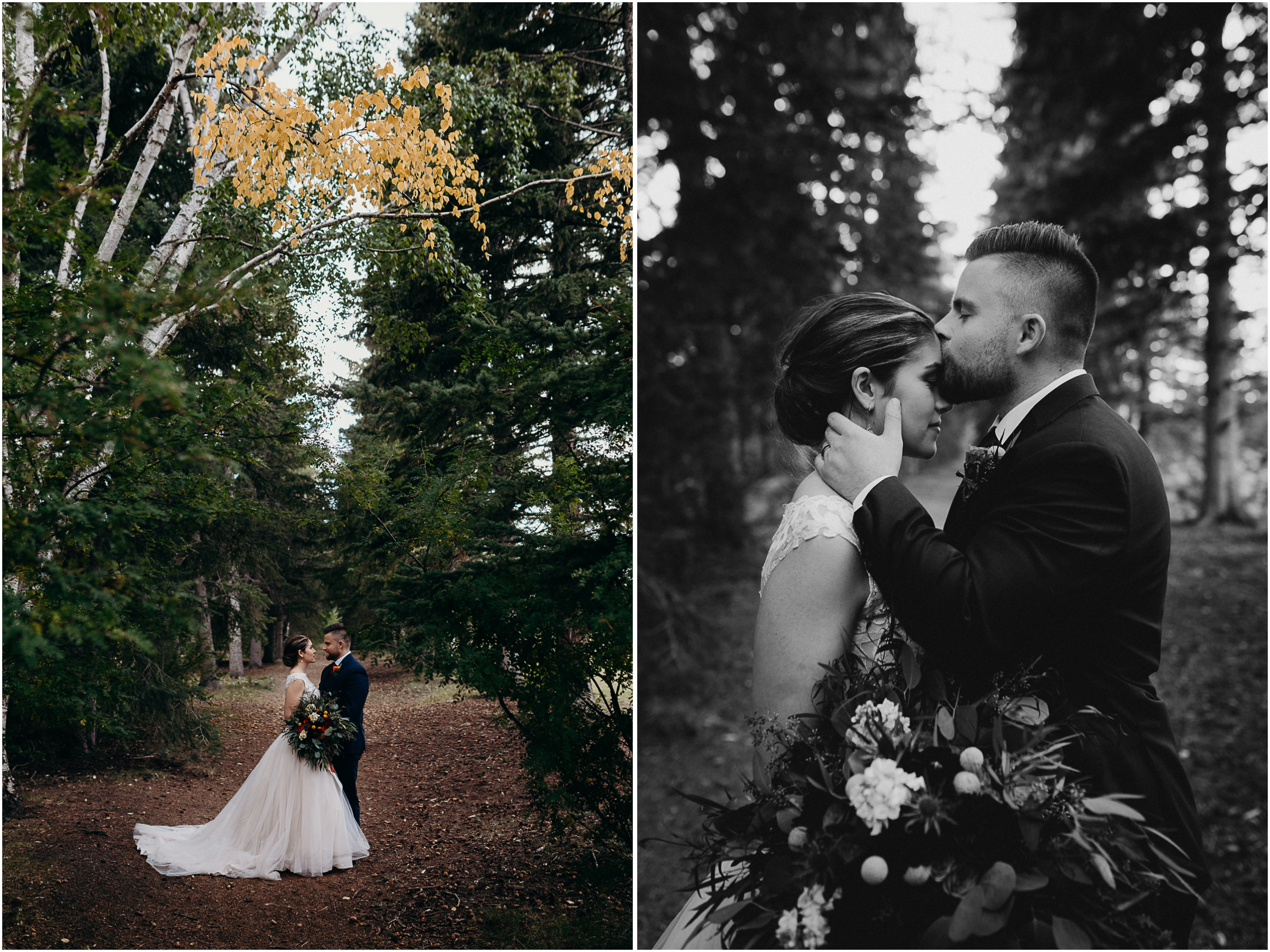 Lauren Hamm Photo | Intimate Elopements | Weddings | Engagements