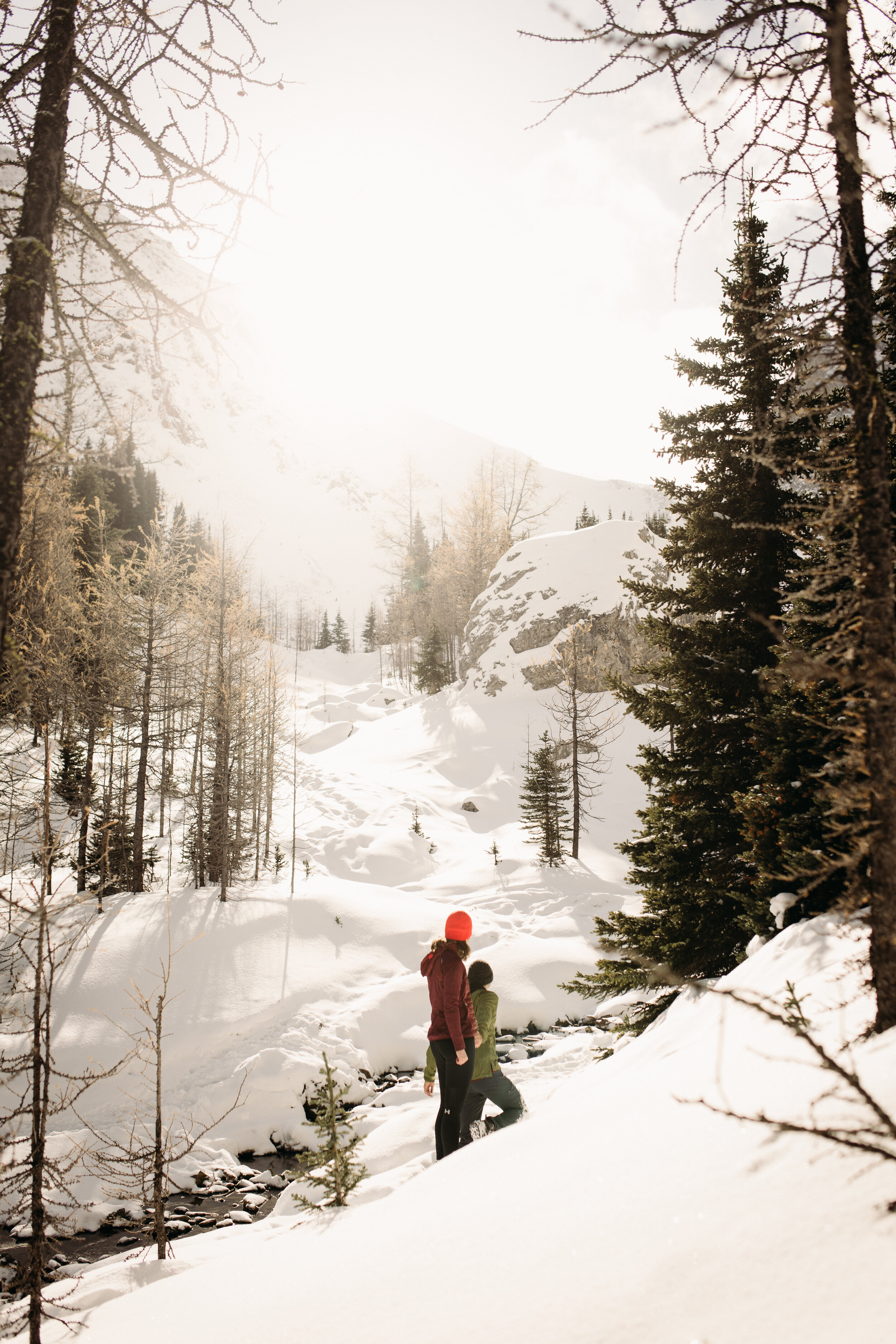 Alberta Elopement and Wedding Photographer | YYC | Elopement Ideas | Wedding Ideas | Intimate Elopements Inspiration