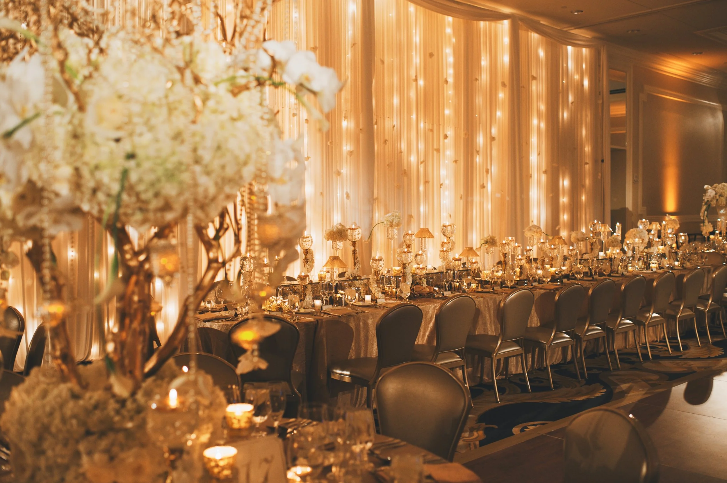  Photo by  DW Johnson  