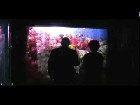 MichaelAngelos Events Fog Screen