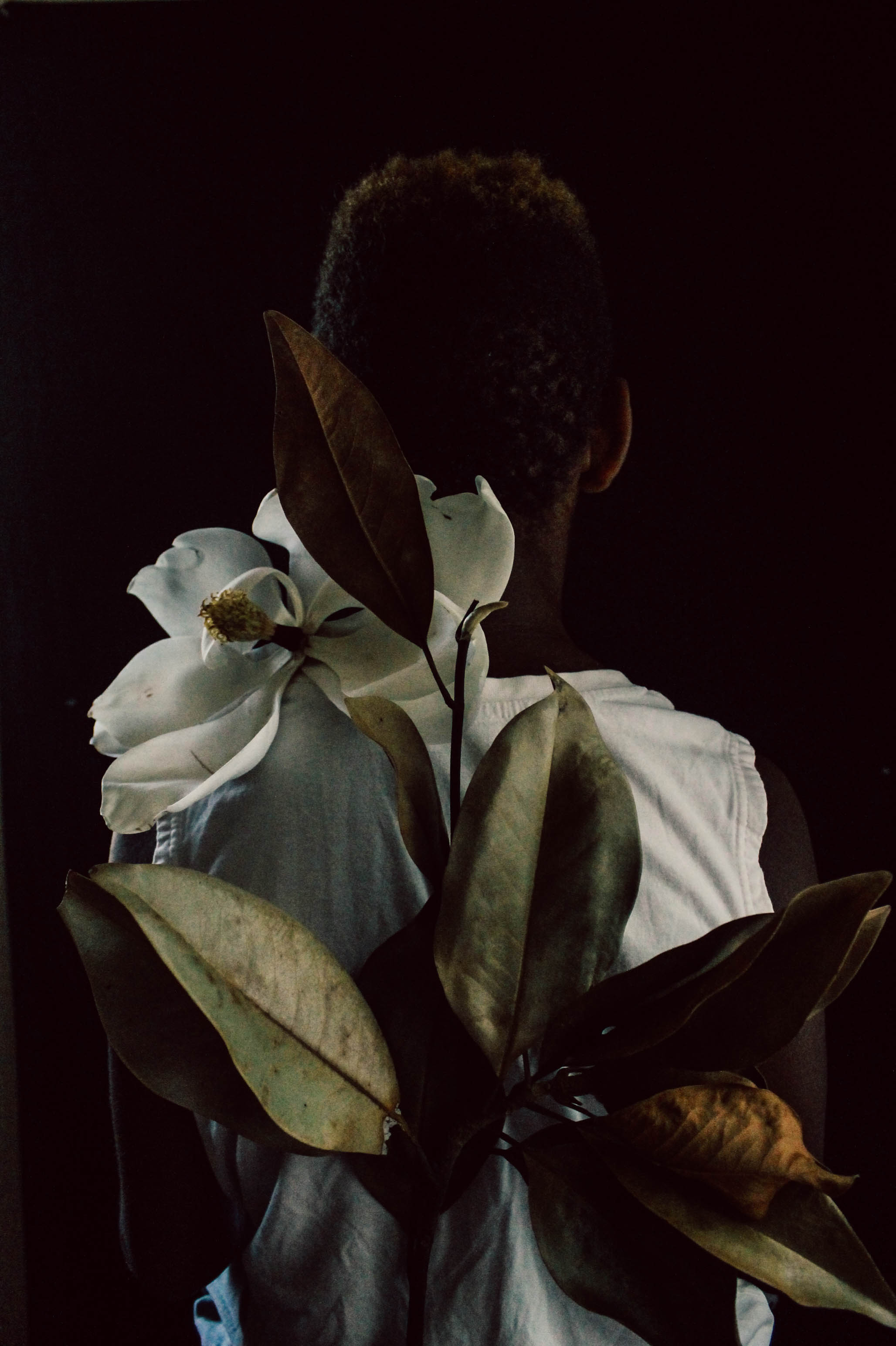 The Innocent-9.jpg