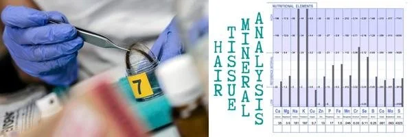 Where Else is Hair Tissue Mineral Analysis Utilized?