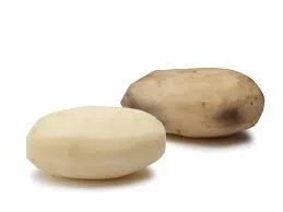 No GMO Potatoes in Canada
