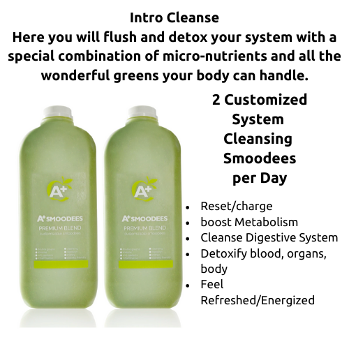 Intro Cleanse - Scroll to Bottom to Order