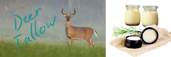 Deer Tallow