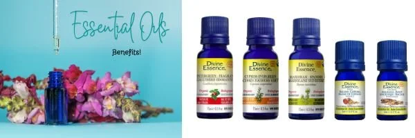 Essential OIls of Angelica Root, Copaiba, Cypress, Marjoram Spanish,, & Wintergreen