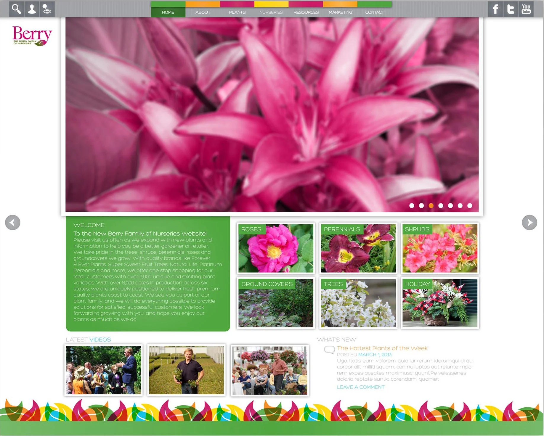 website 1.jpg