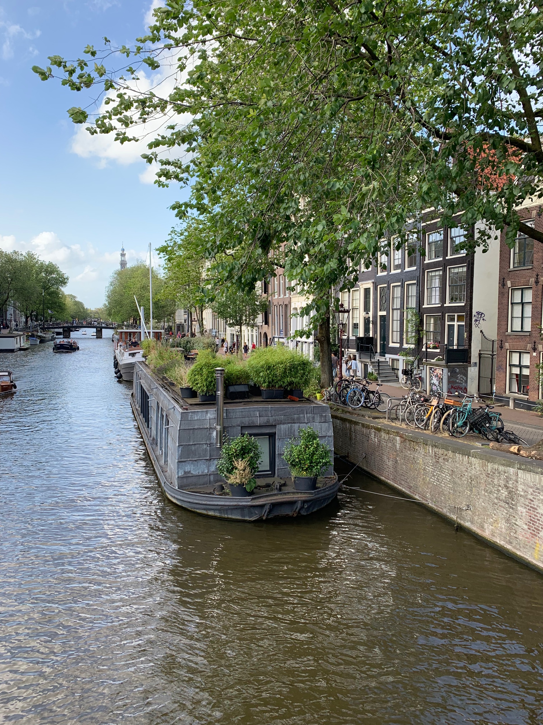 How would you like to live here!?