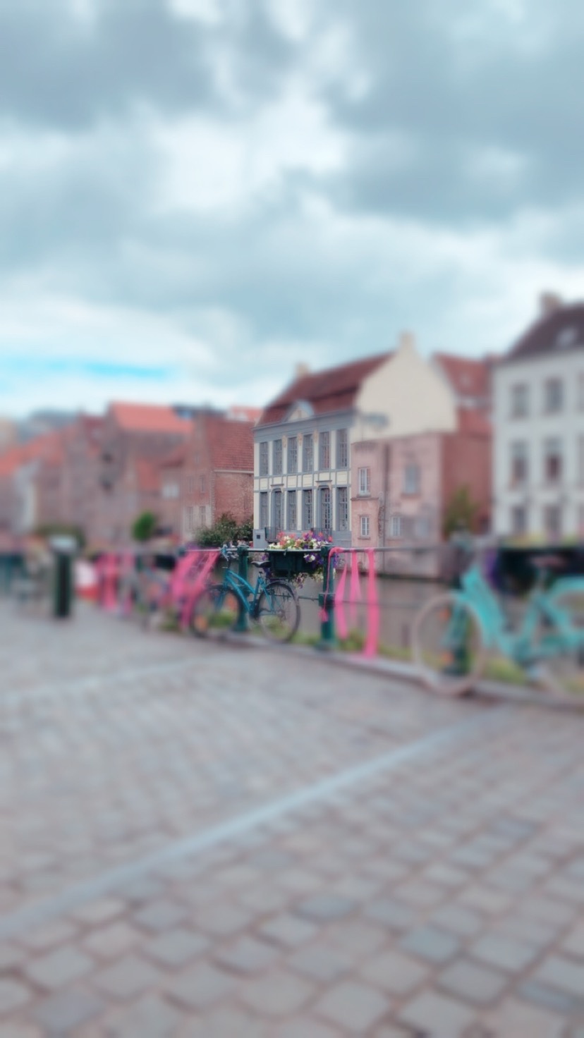 We took a little day trip to Ghent…it was so cute!