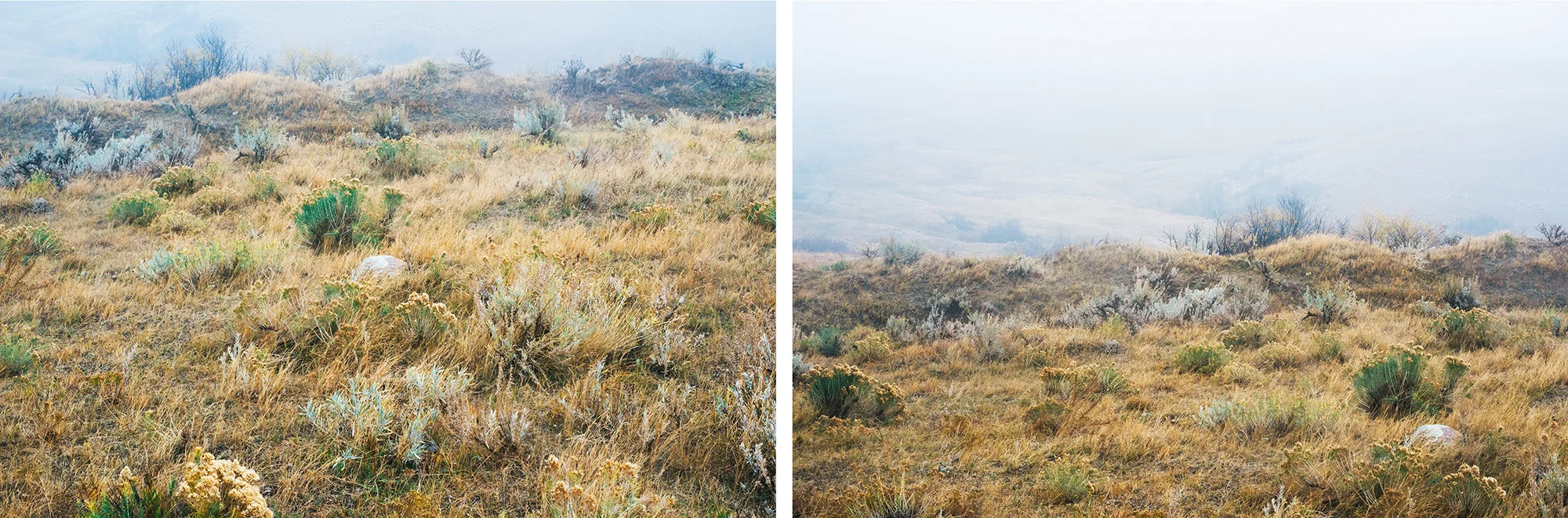 Deborah_Farnault_Meadow_Rock_Fetterman_Battlefield_Sheridan_Wyoming_2018.jpg