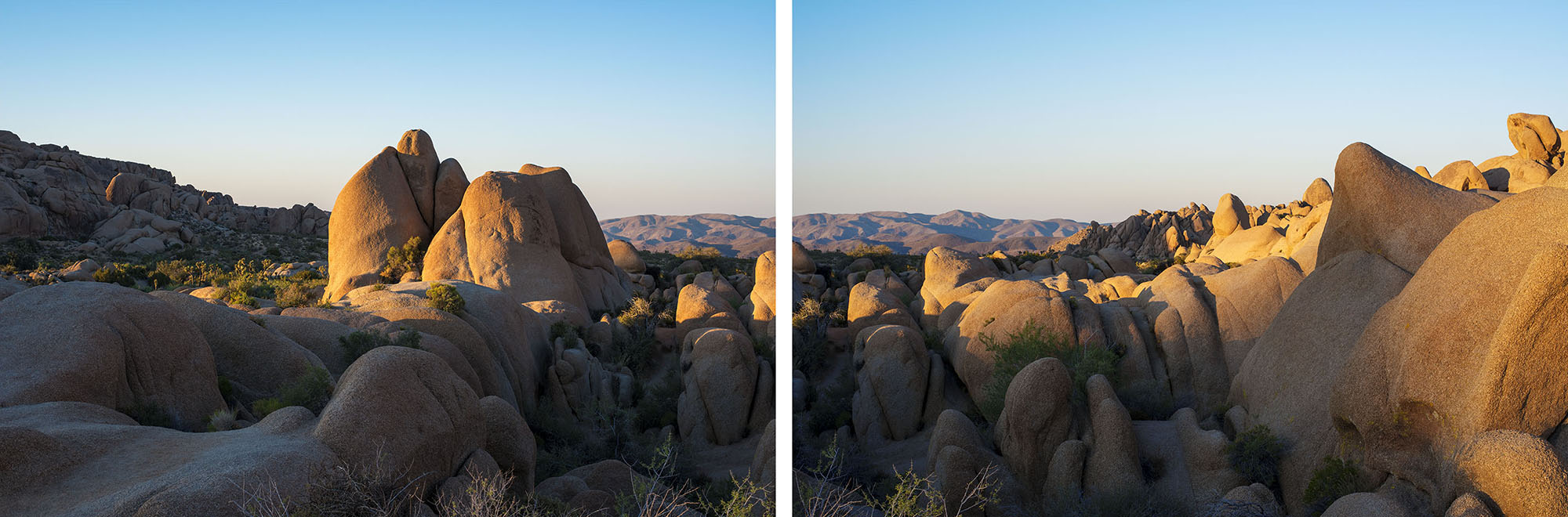 Deborah_Farnault_Joshua_Tree_2017_02.jpg