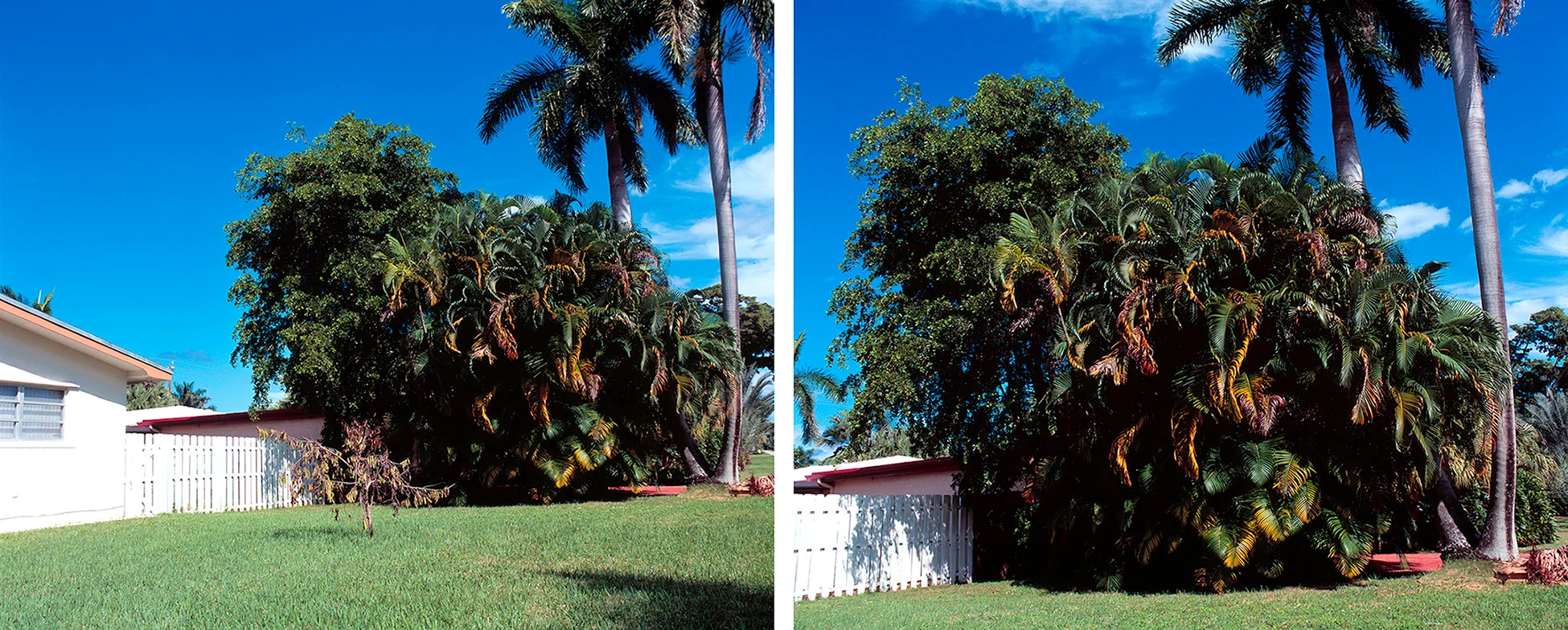 Hollywood, Florida