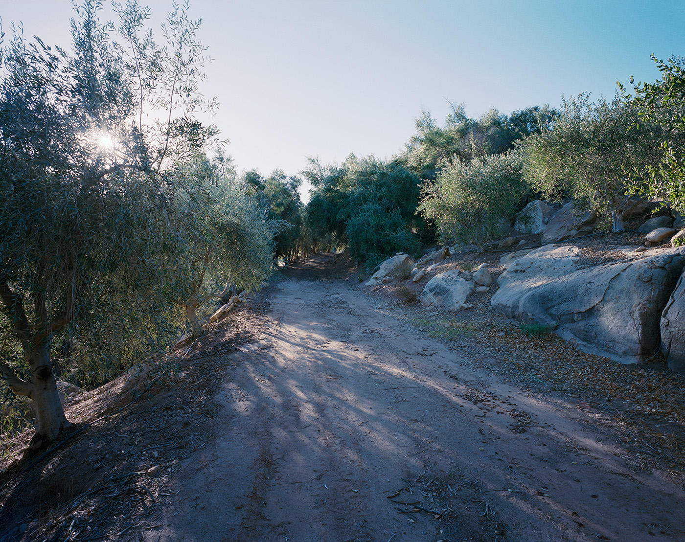 Deborah_Farnault_Ojai_2018_03_02.jpg