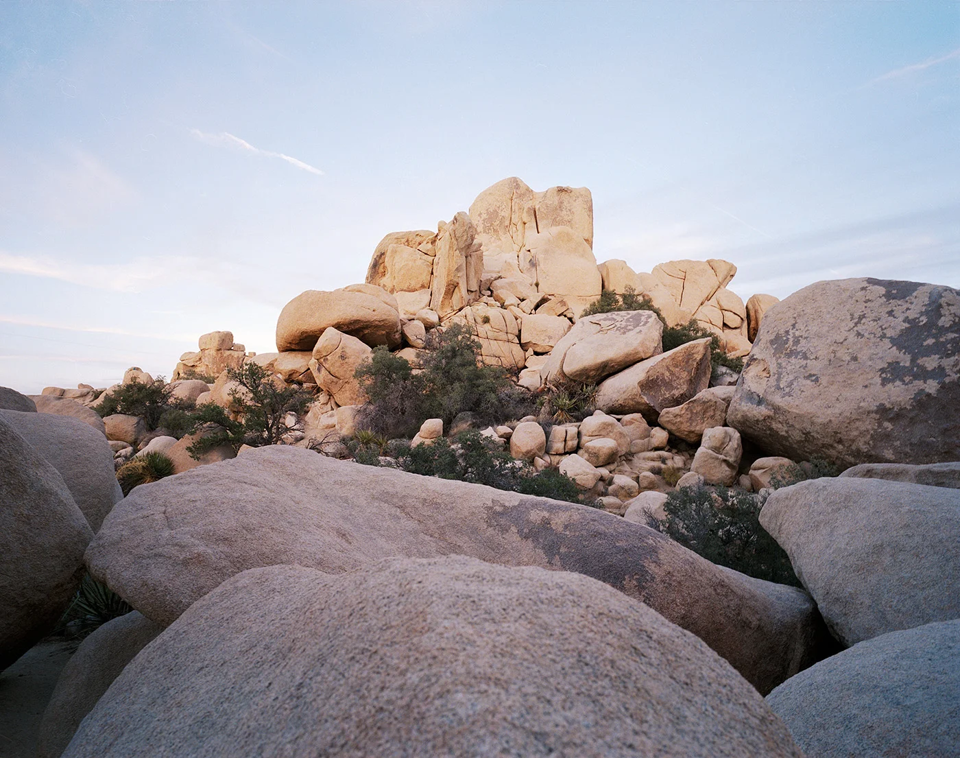 Deborah_Farnault_Joshua_Tree_2017_05.jpg