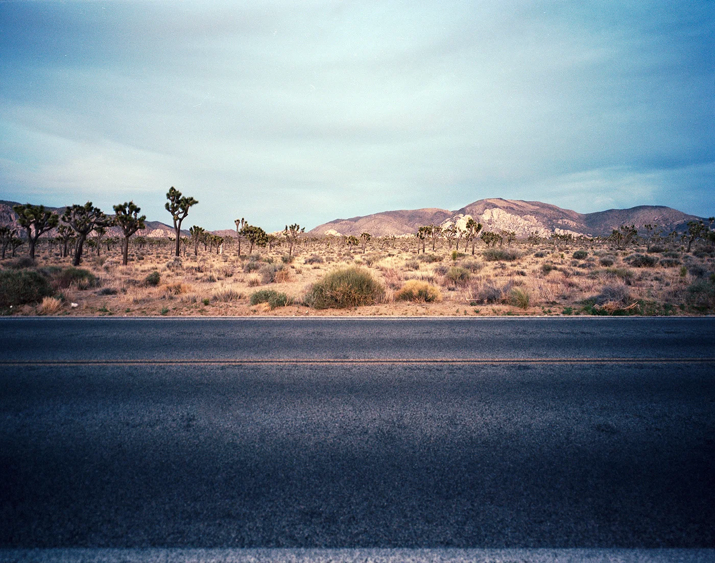 Deborah_Farnault_Joshua_Tree_CA_2018_08.jpg