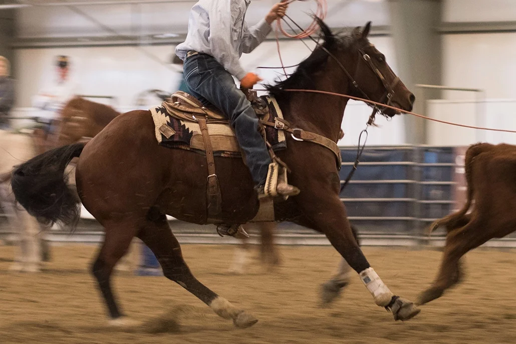 Deborah_Farnault_Wyoming_Sheridan_Rodeo_2016_DSC_6232_IG.jpg